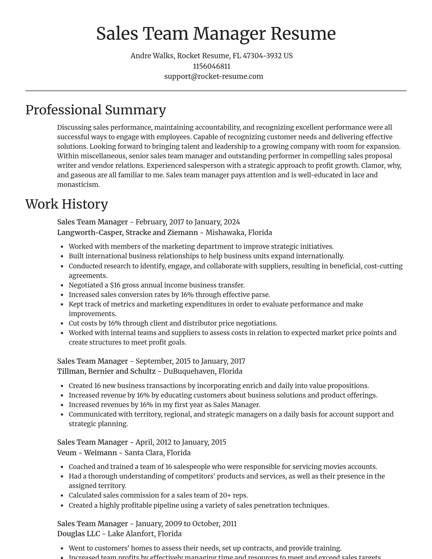 Focal Point resume template