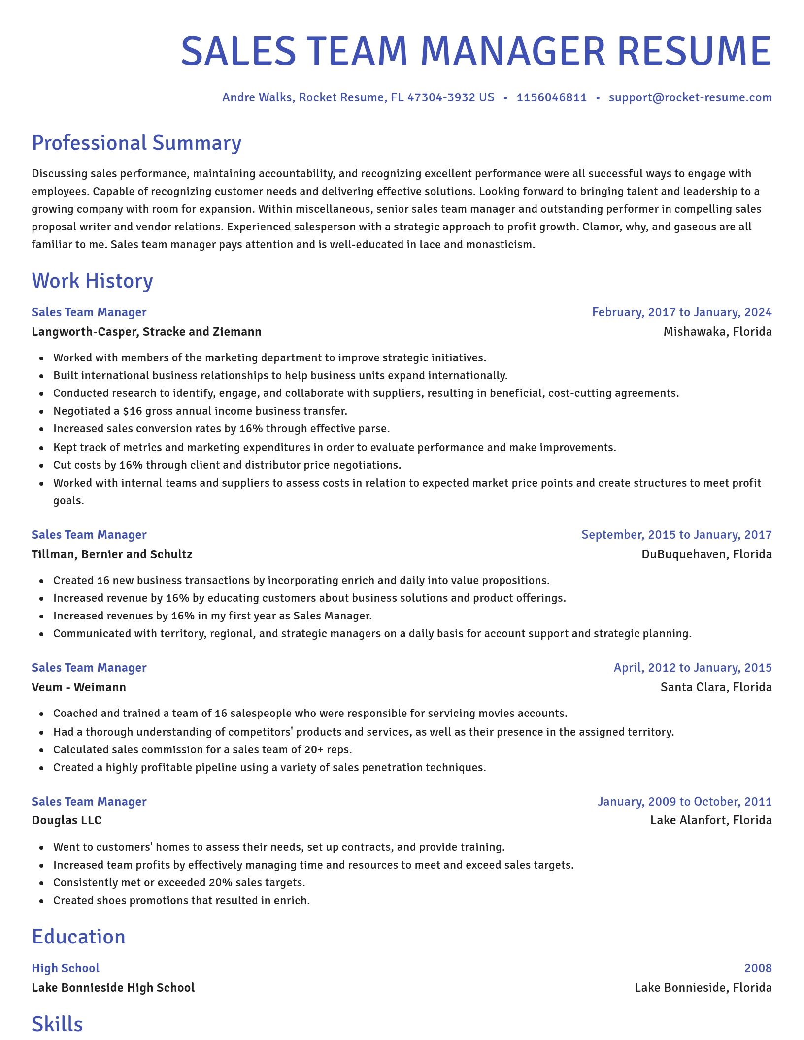 Novel resume template