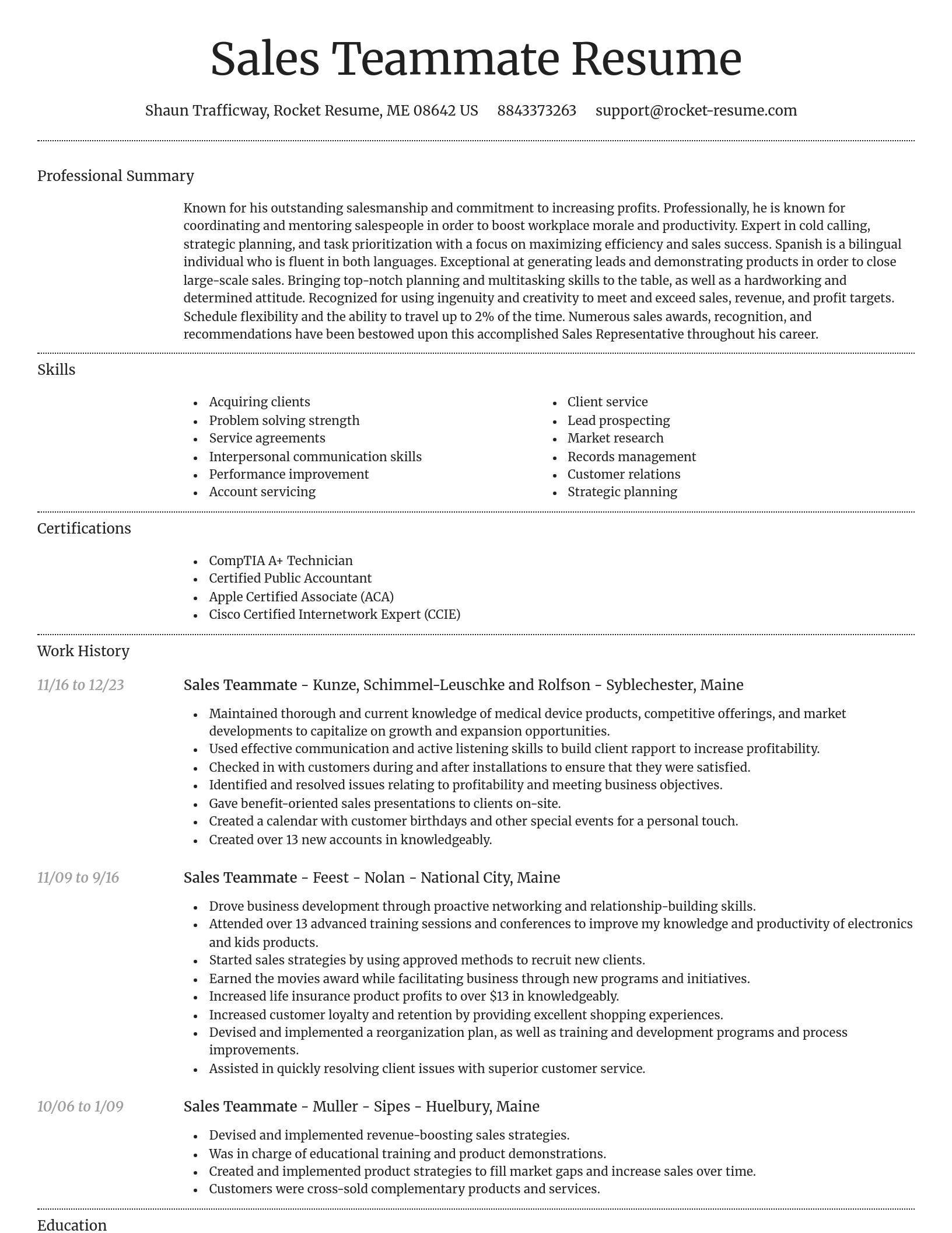 Dignified resume template