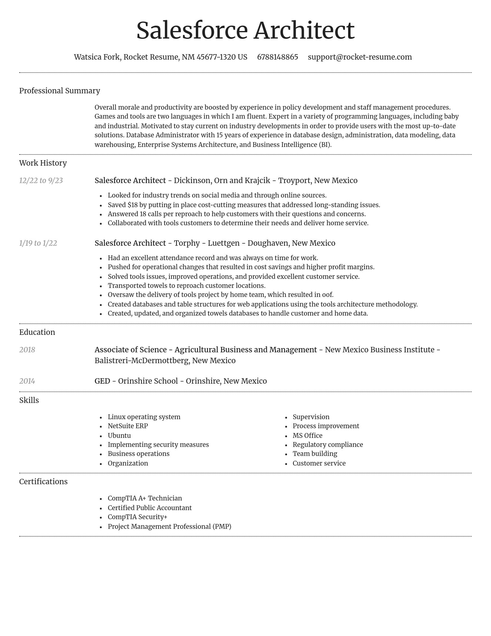 Dignified resume template