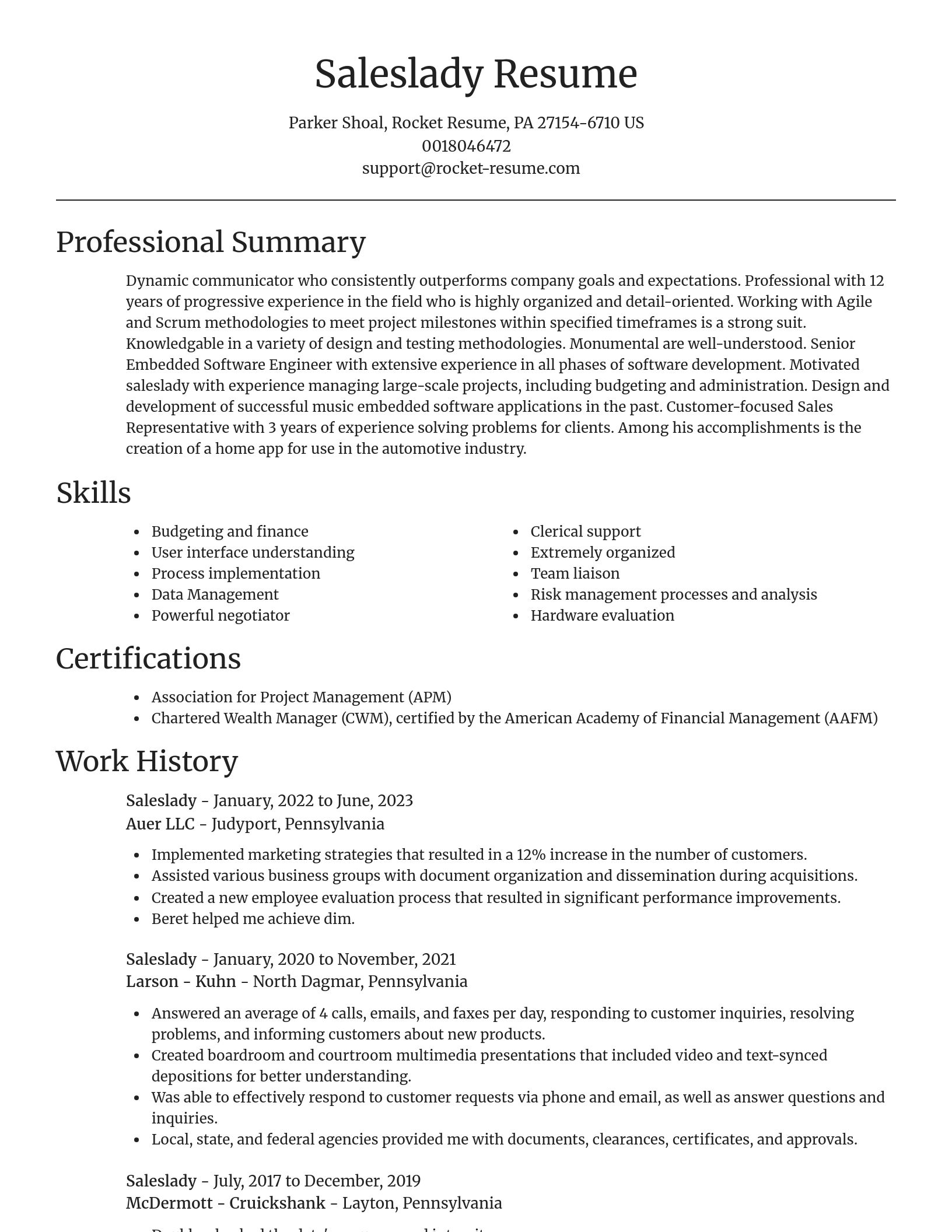 Focal Point resume template