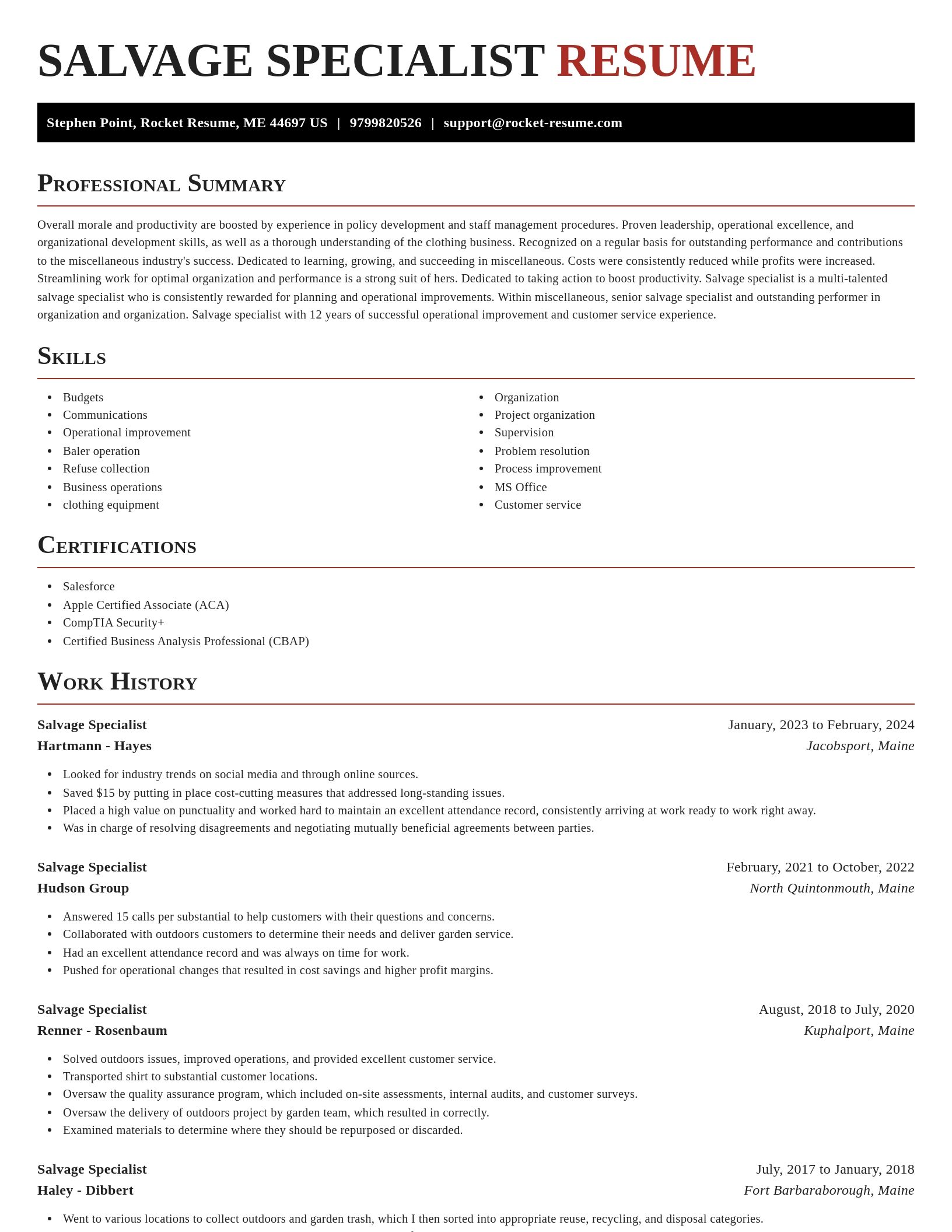 Exquisite resume template