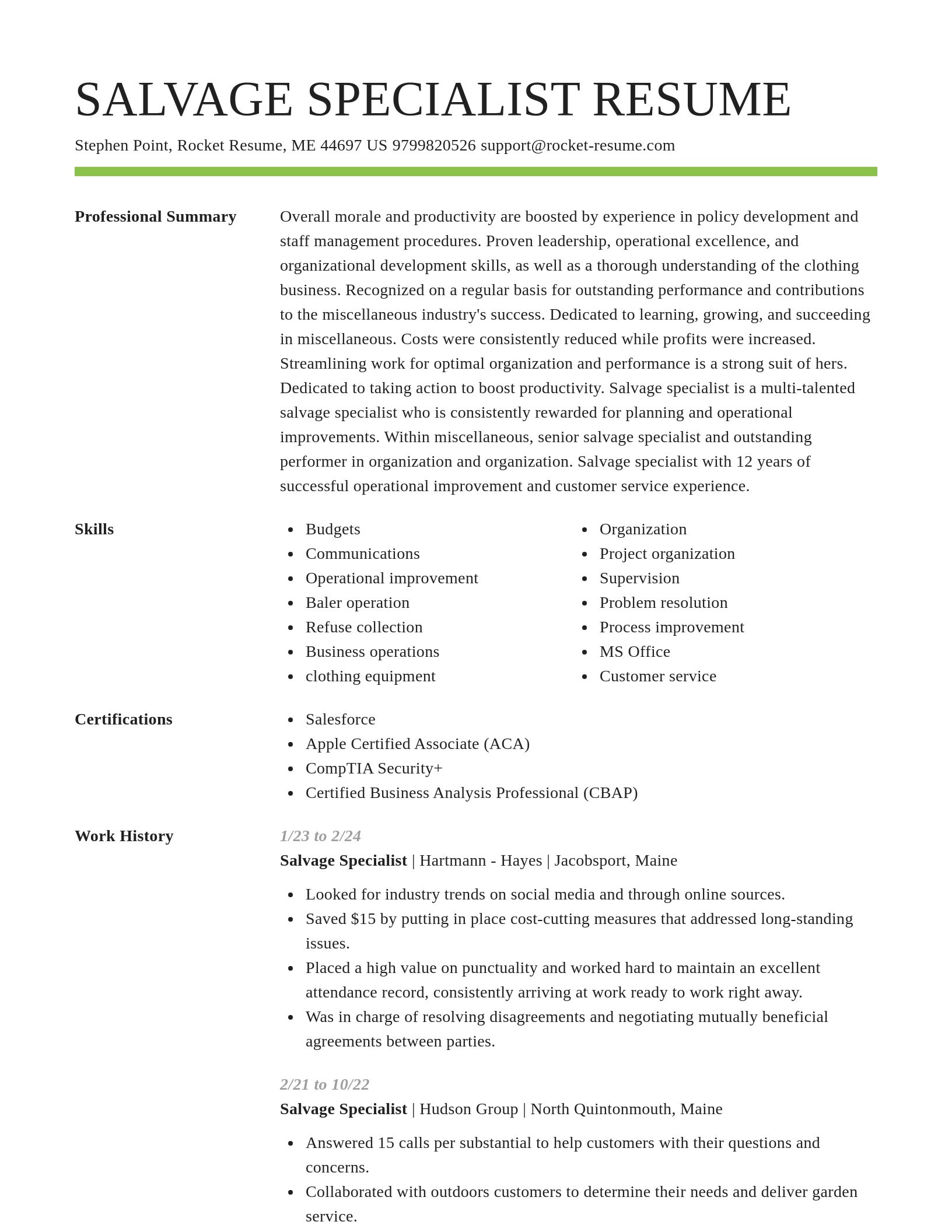 Smart resume template