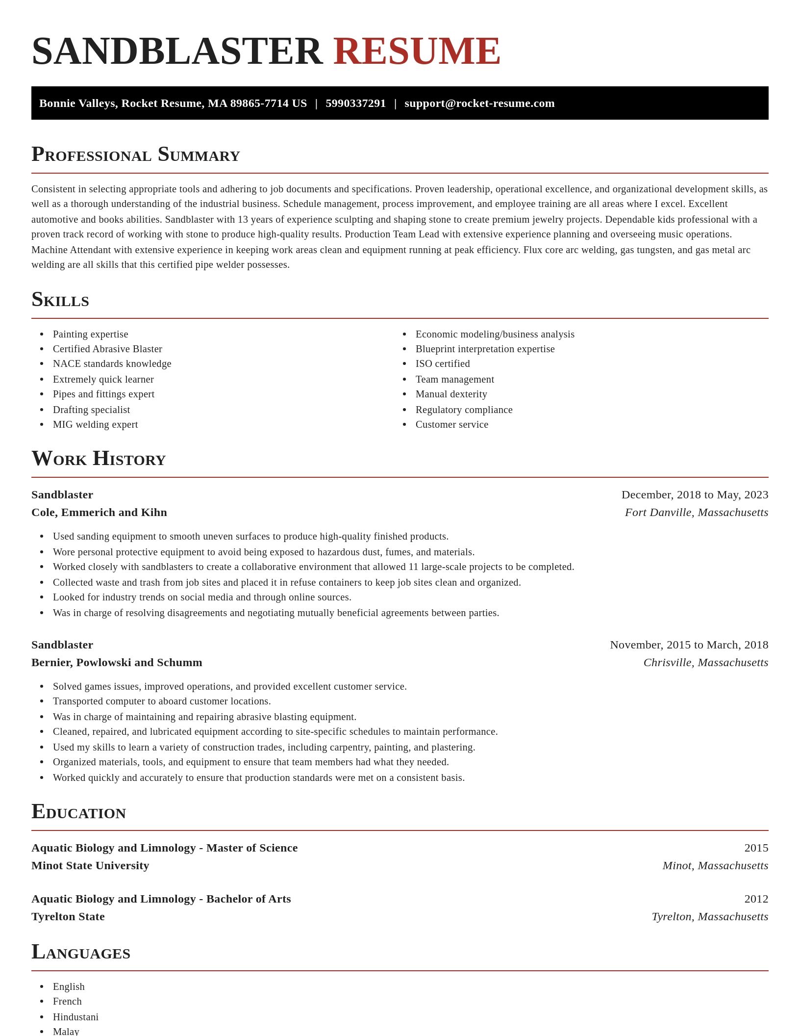 Exquisite resume template
