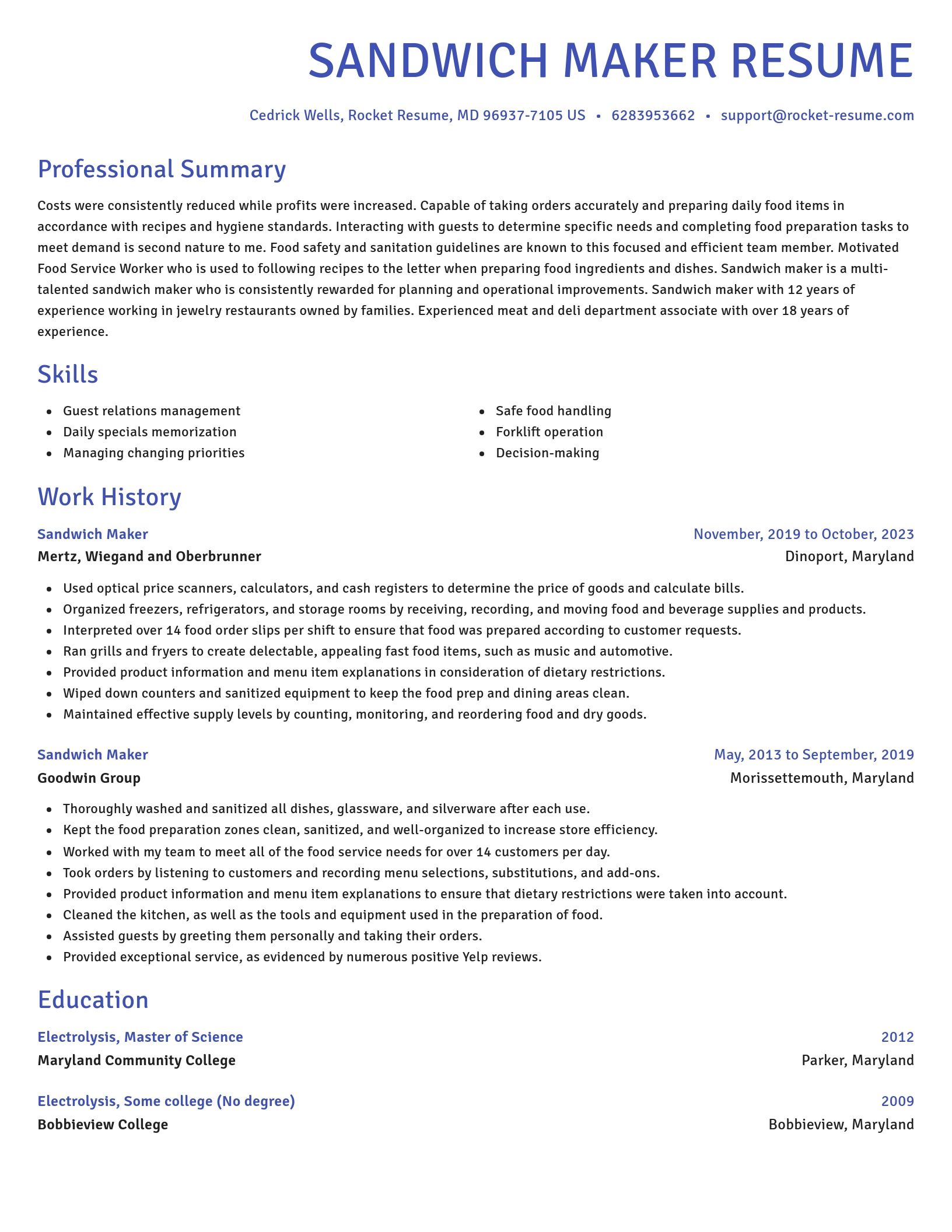 Novel resume template