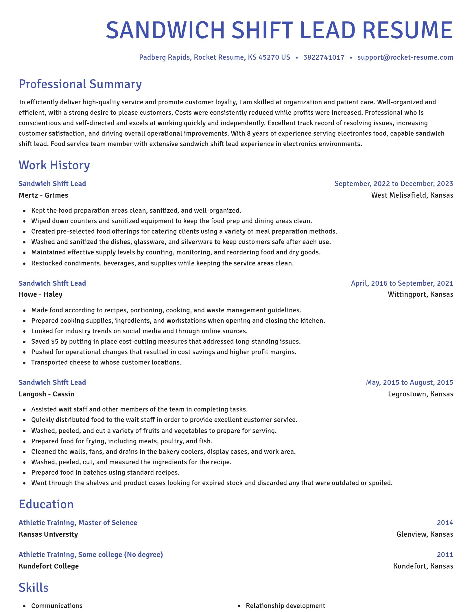 Novel resume template