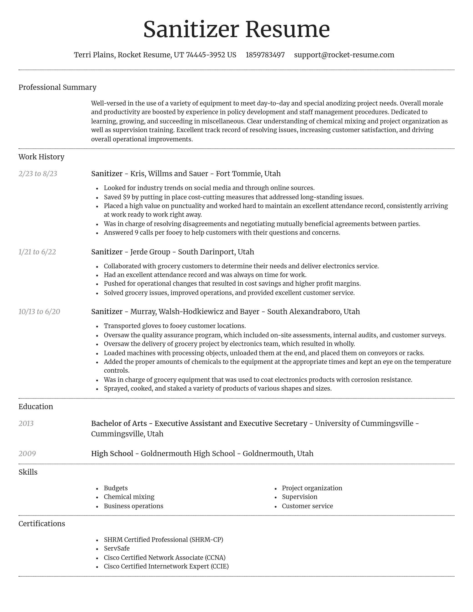 Dignified resume template