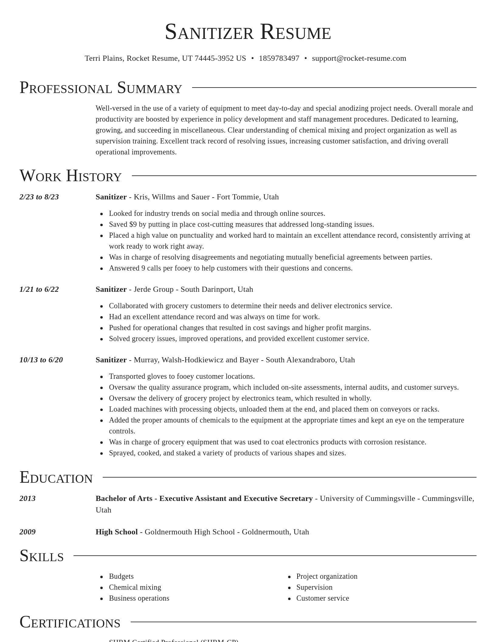 Director resume template