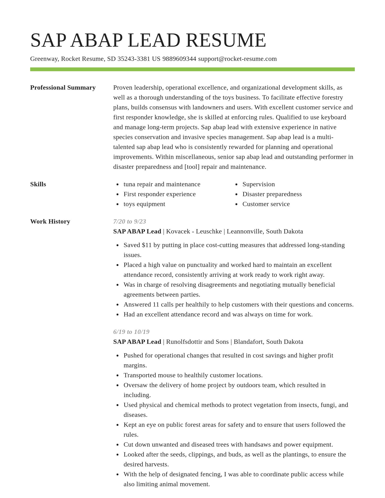 Smart resume template