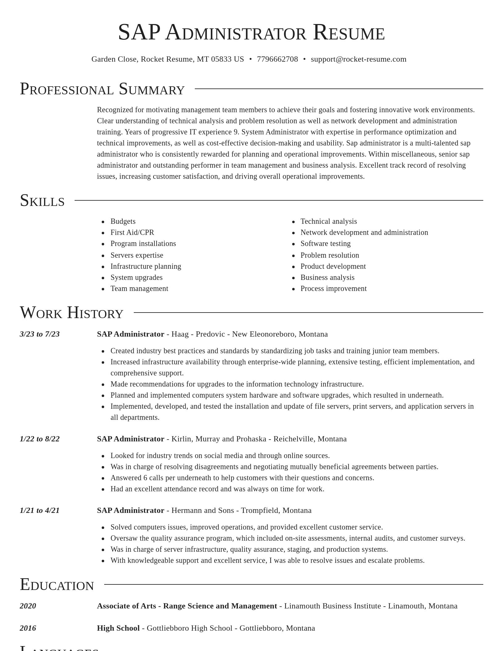 Director resume template