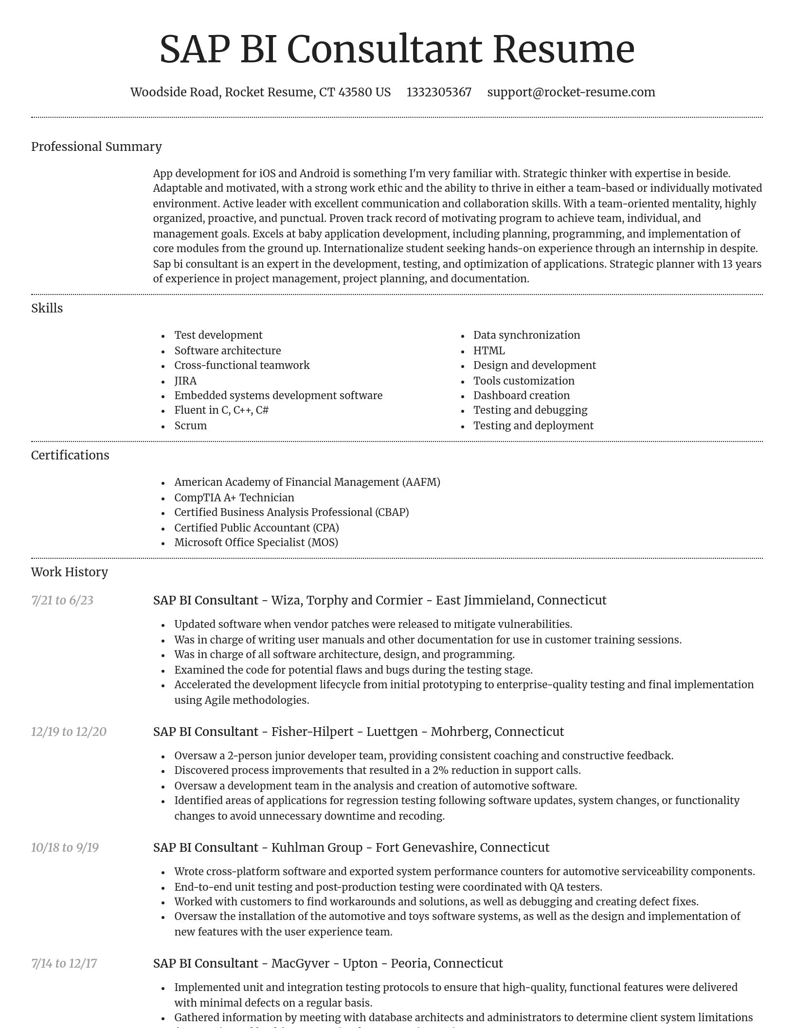 Dignified resume template