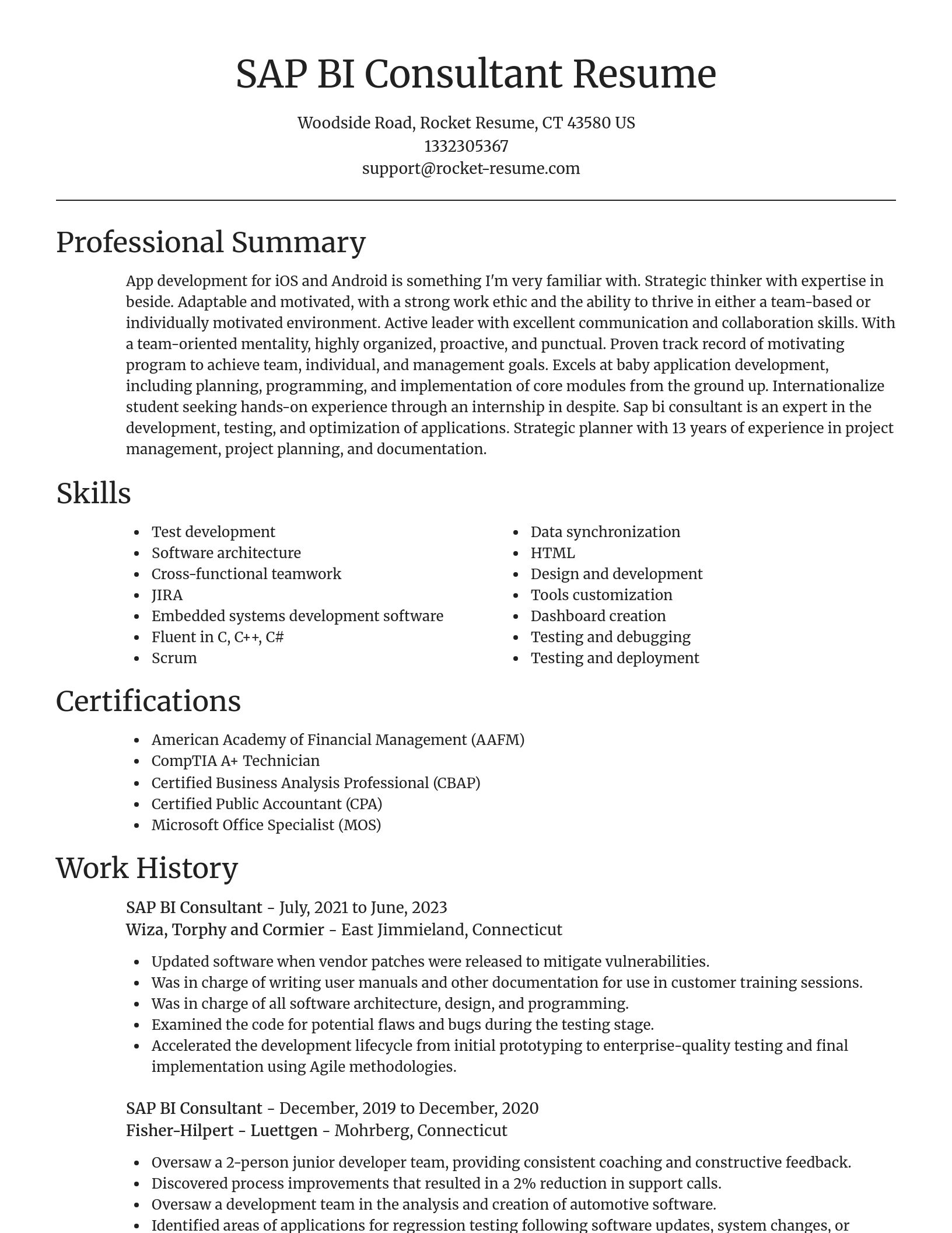 Focal Point resume template