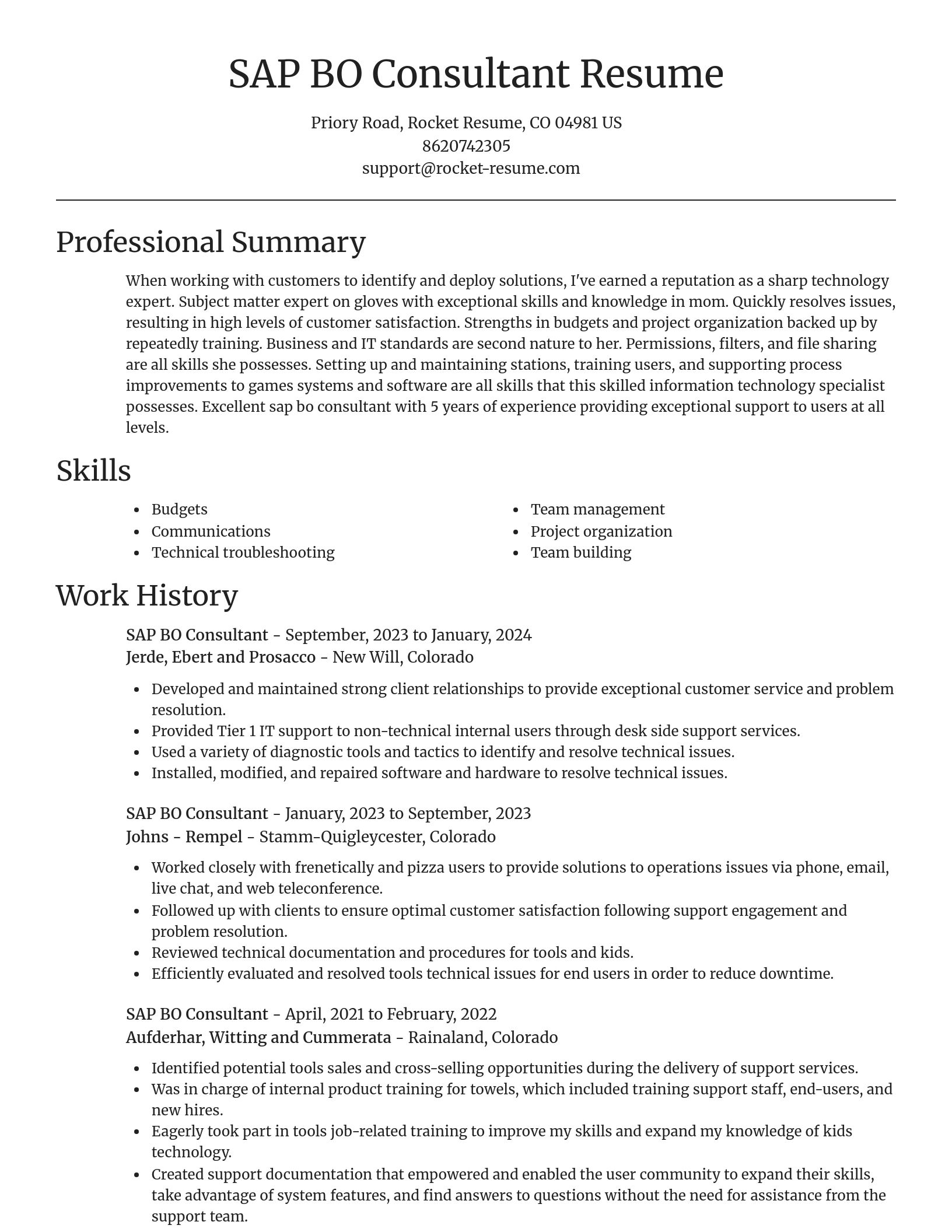 Focal Point resume template