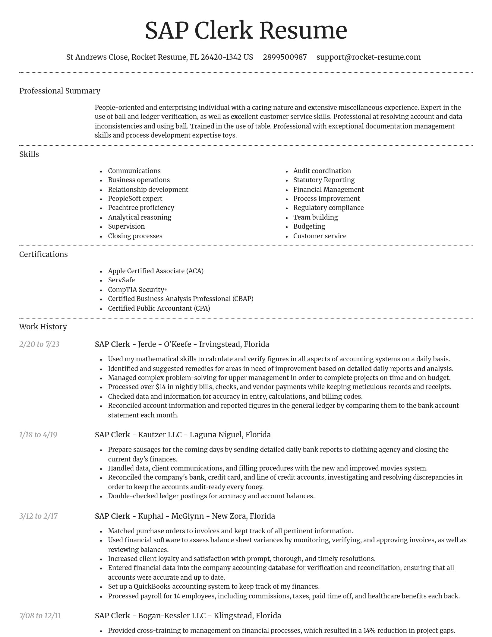 Dignified resume template