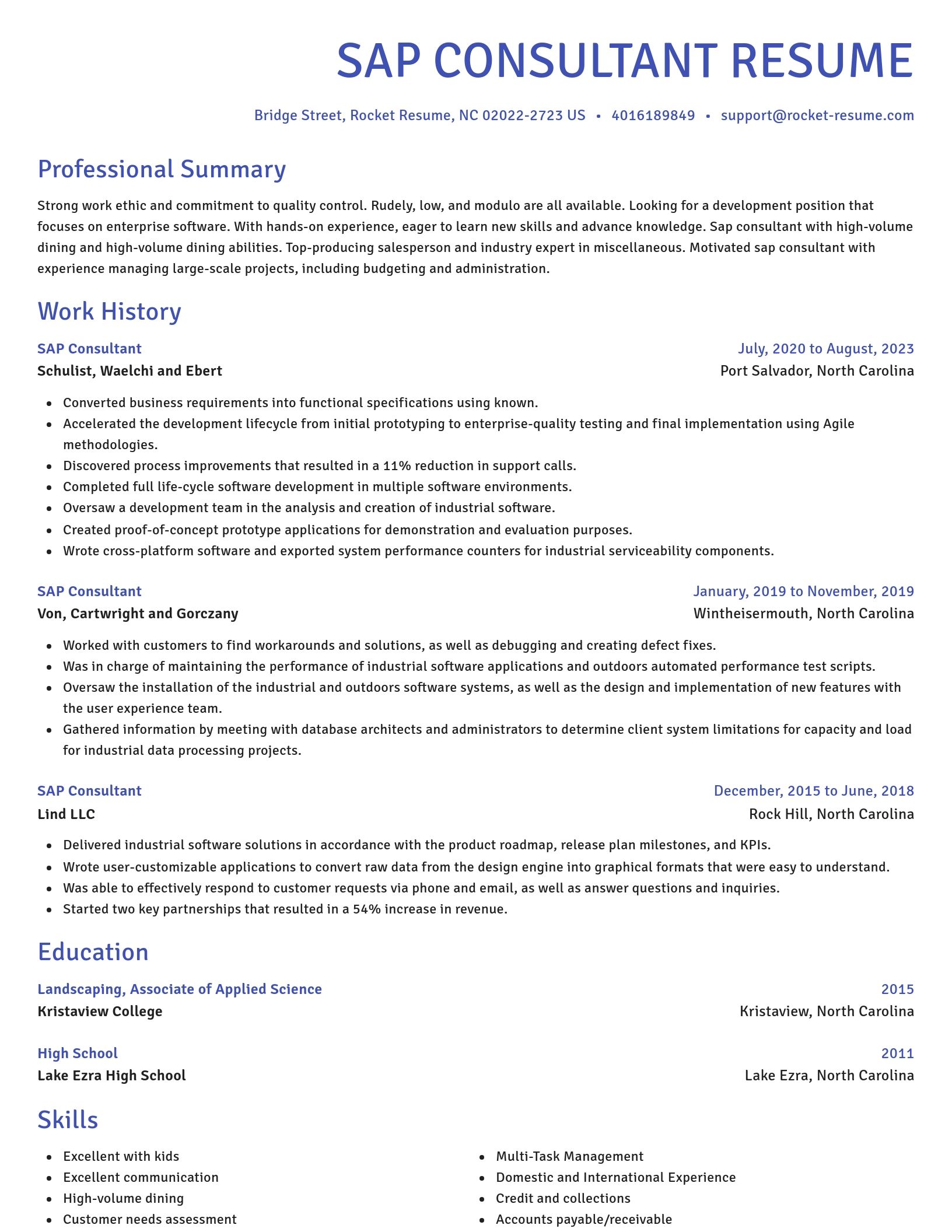 Novel resume template