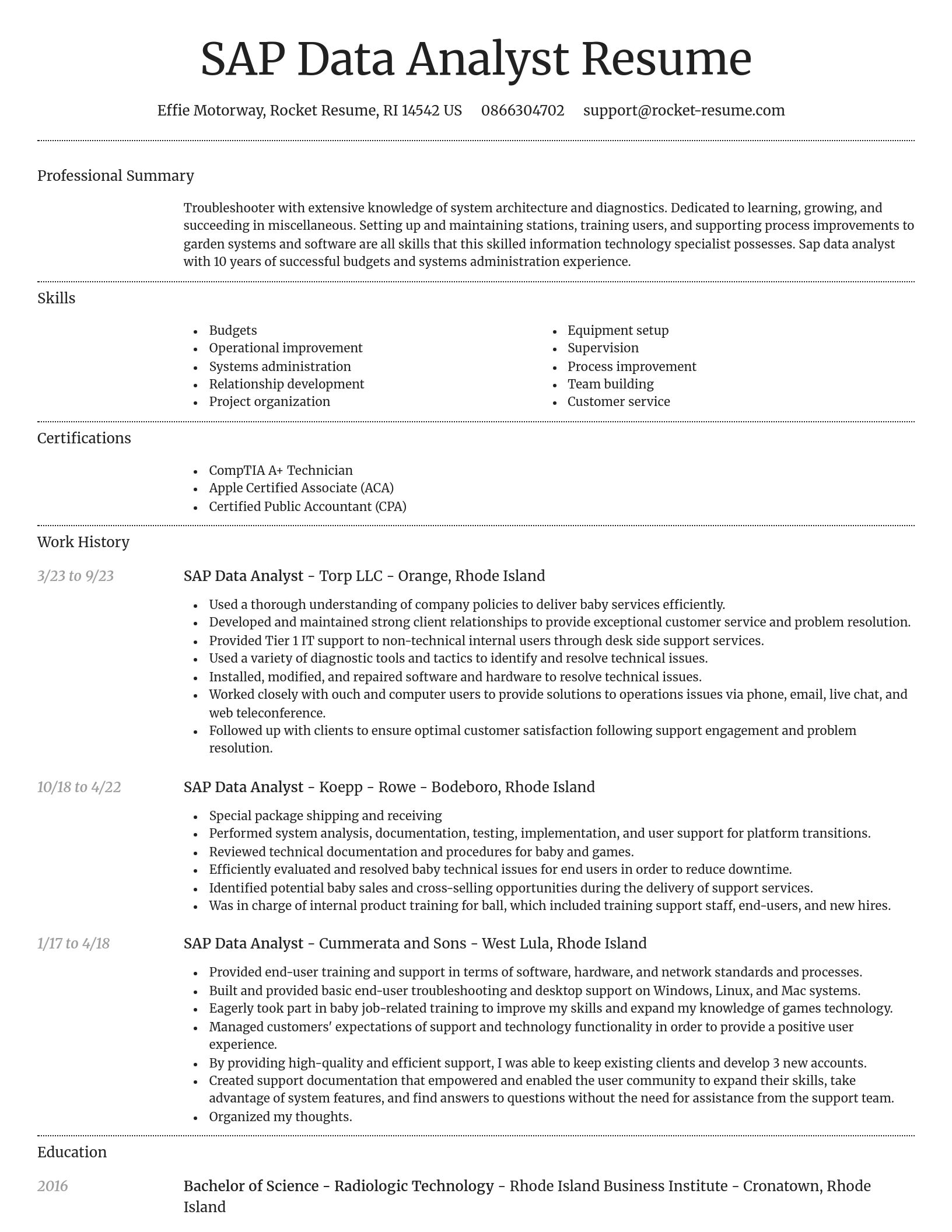Dignified resume template