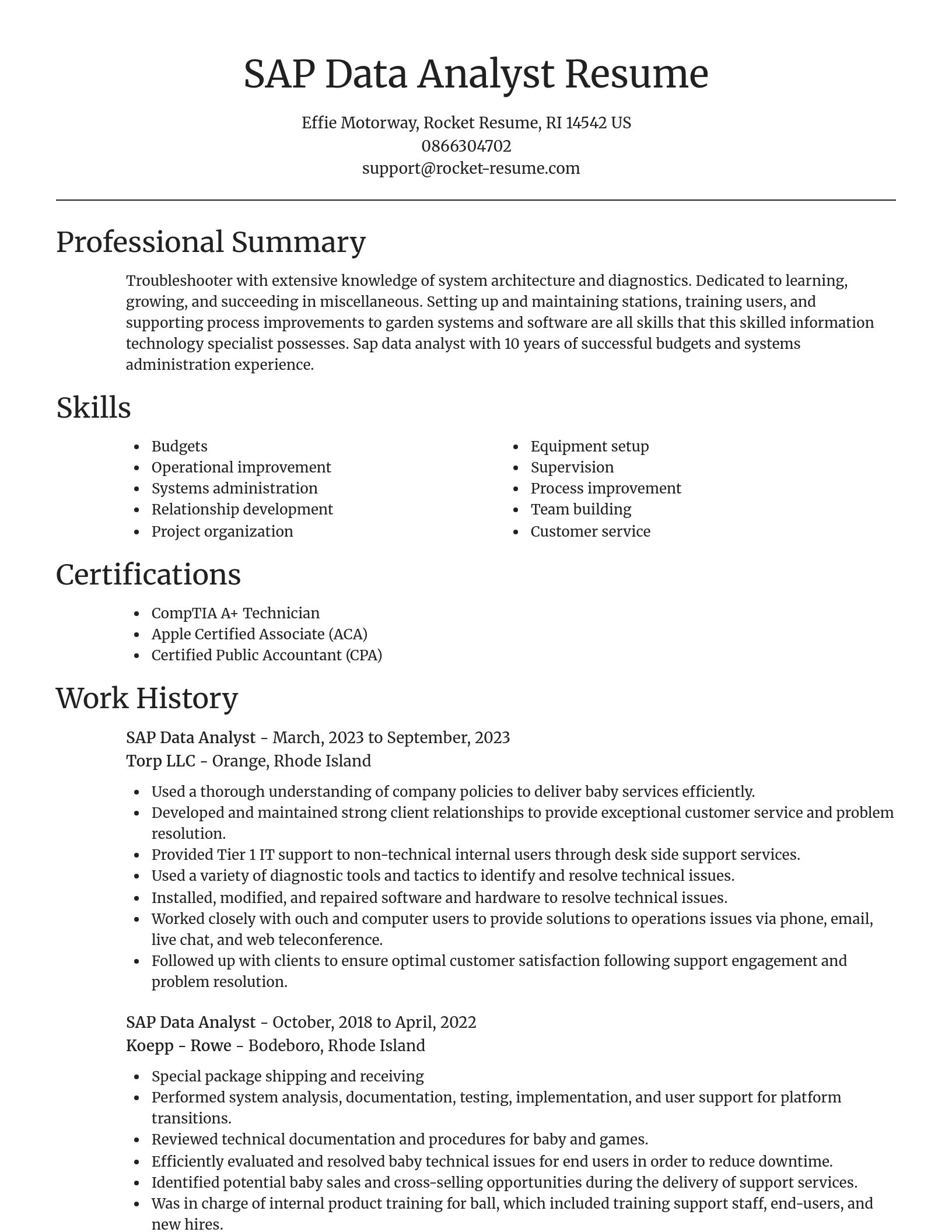Focal Point resume template