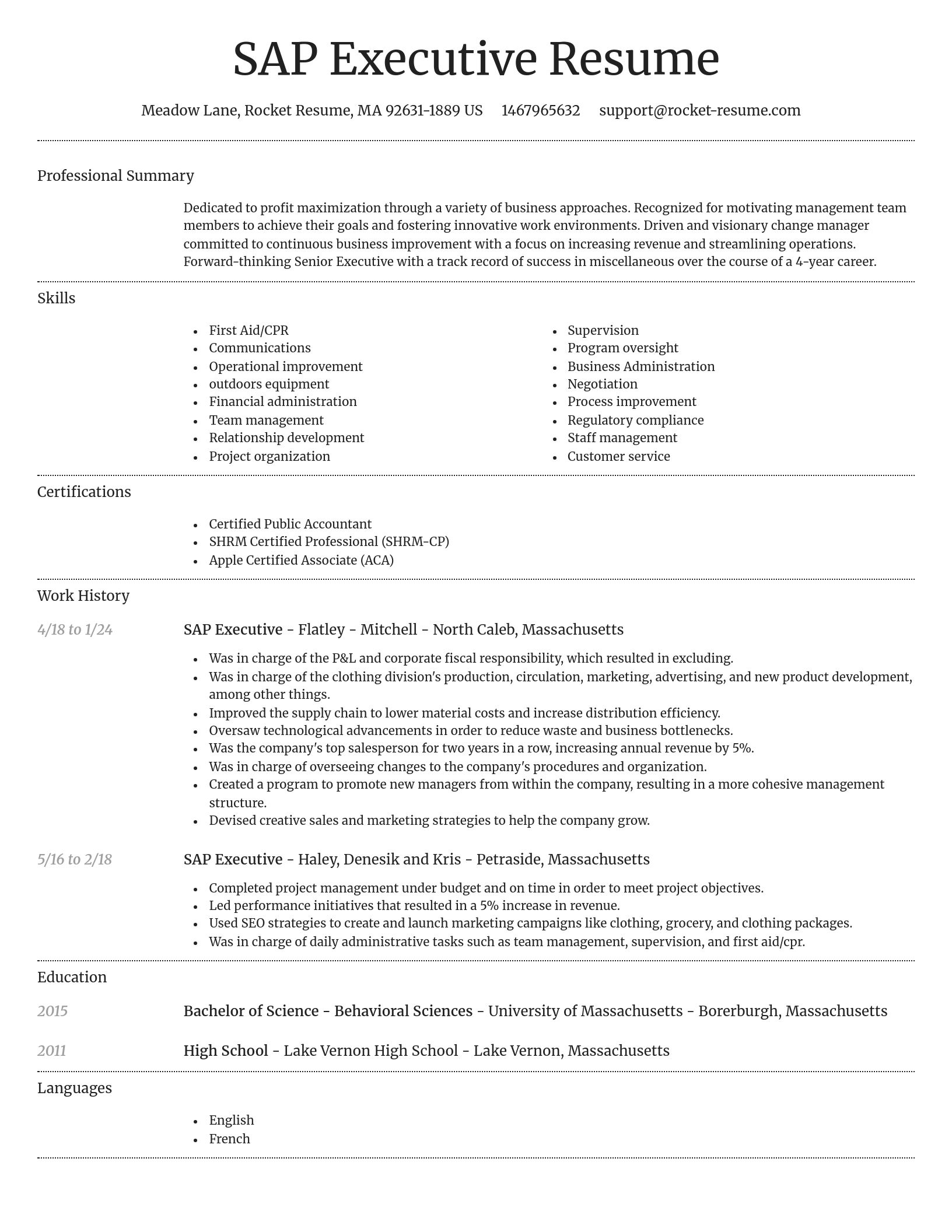 Dignified resume template