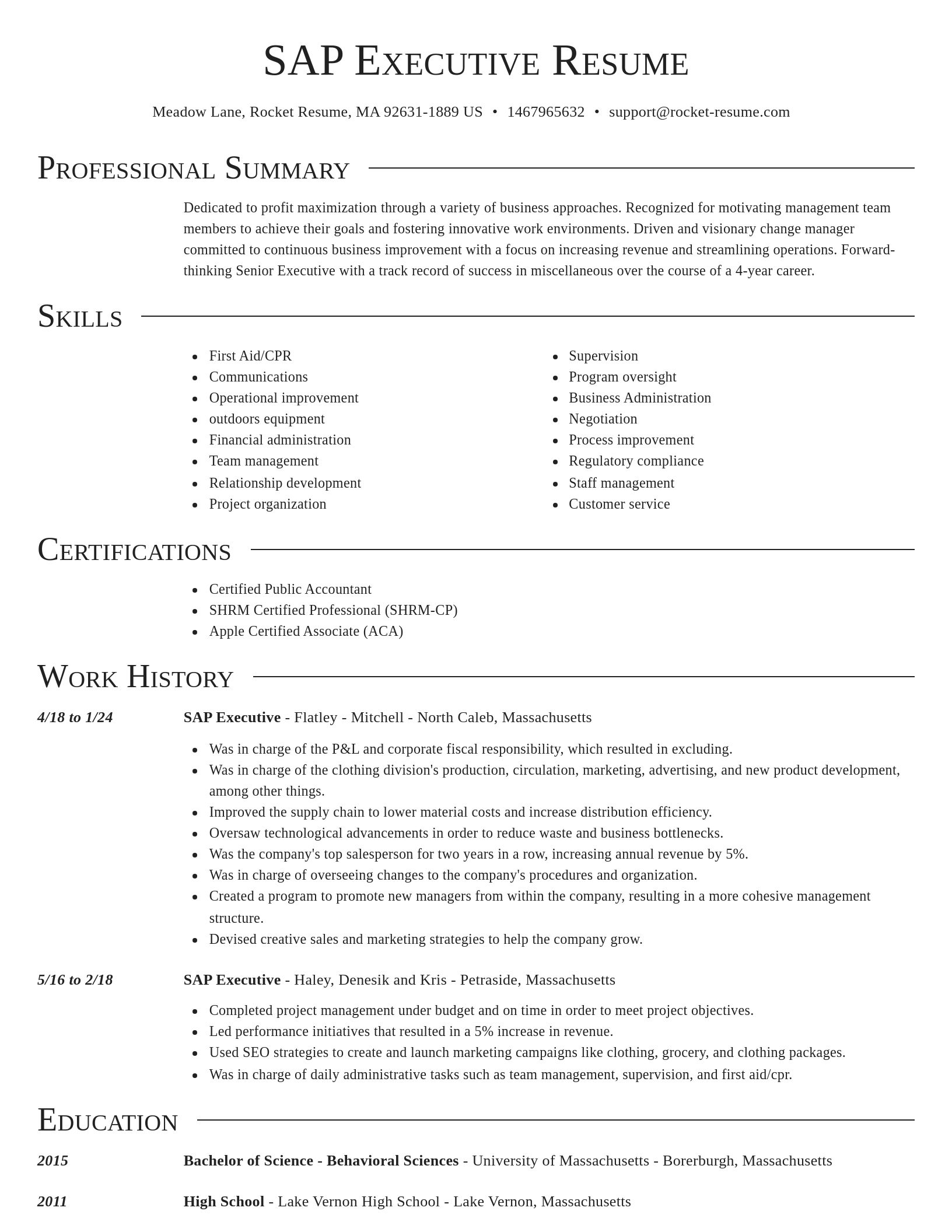 Director resume template