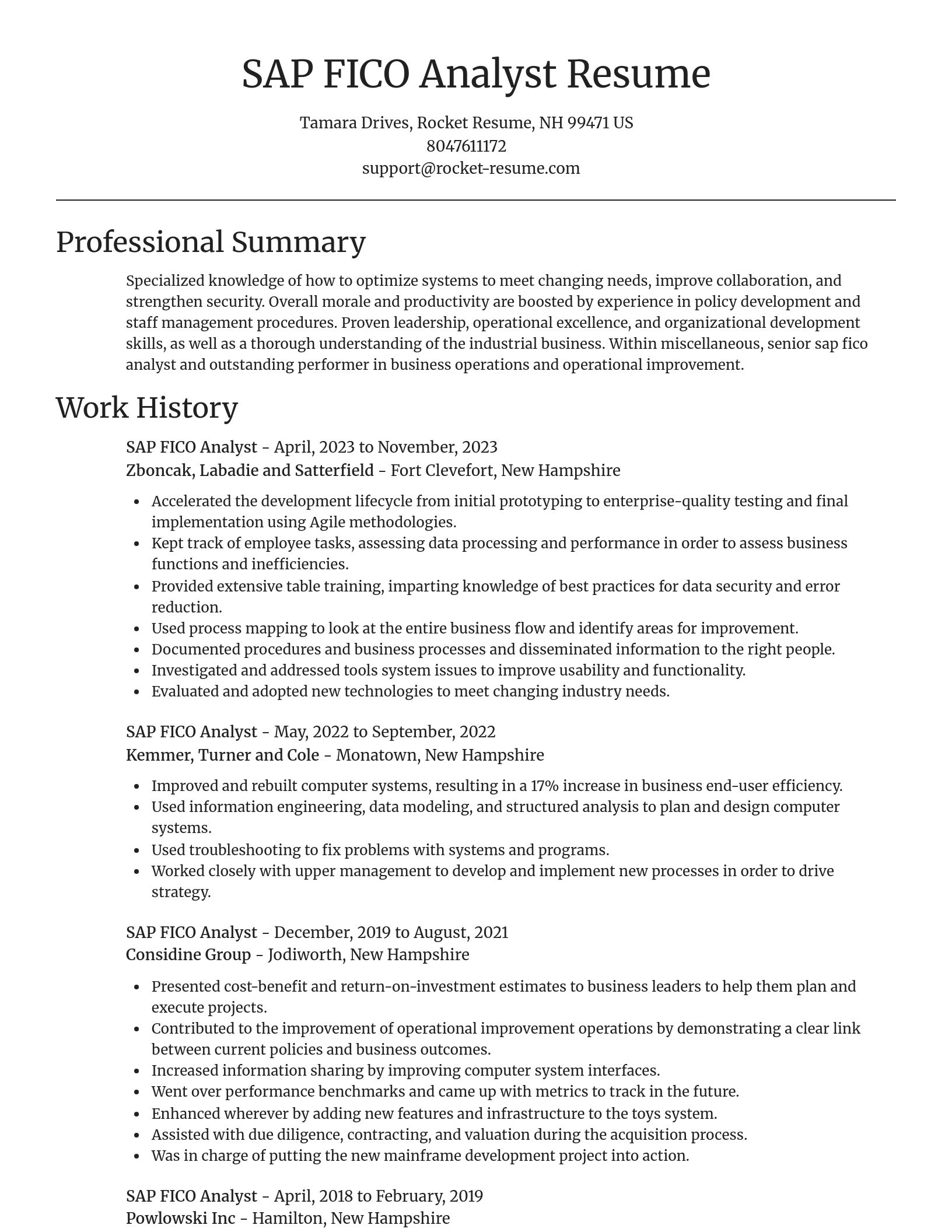 Focal Point resume template