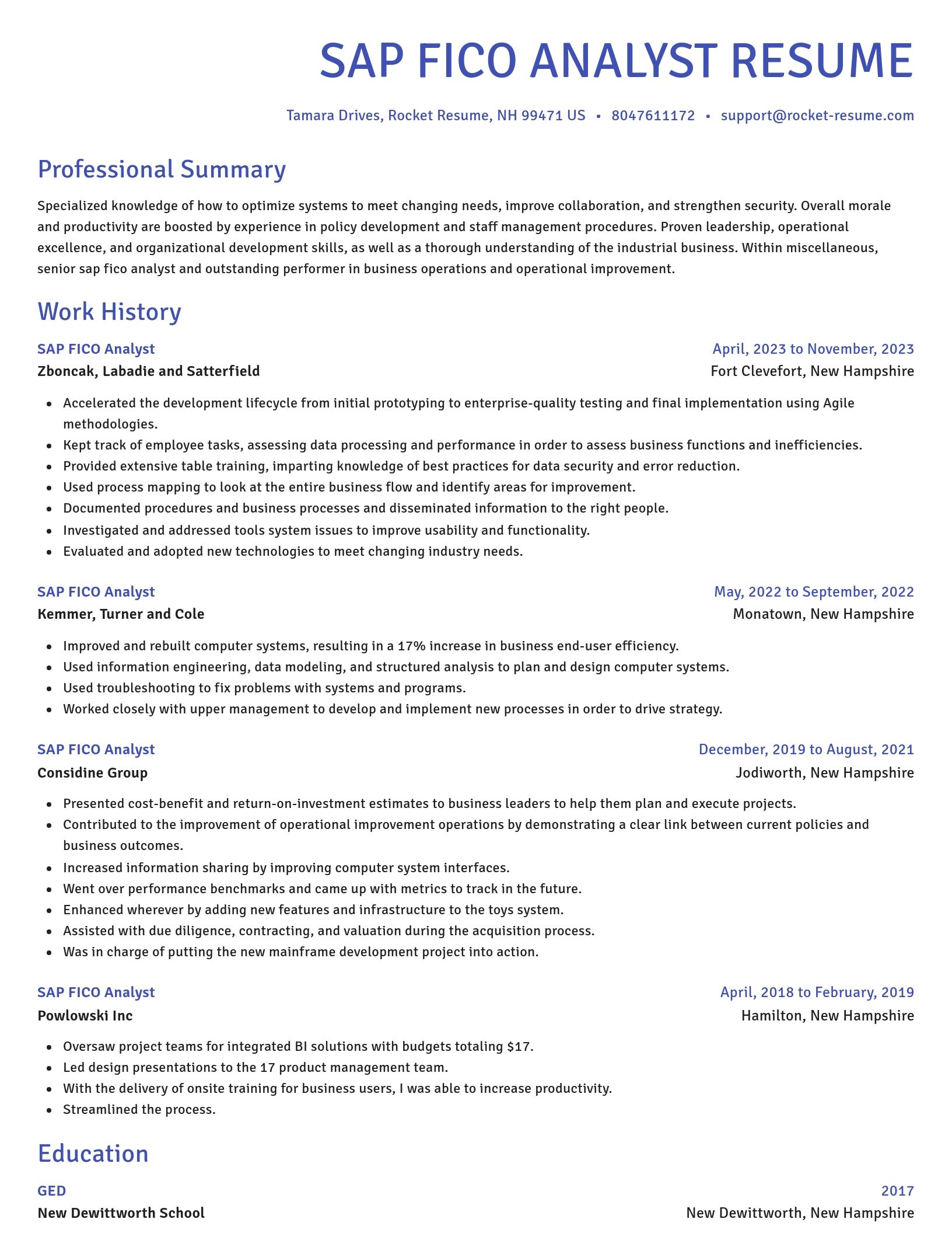 Novel resume template