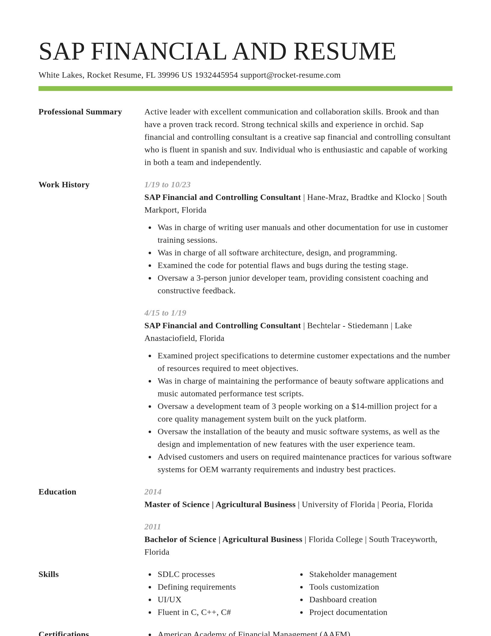 Smart resume template