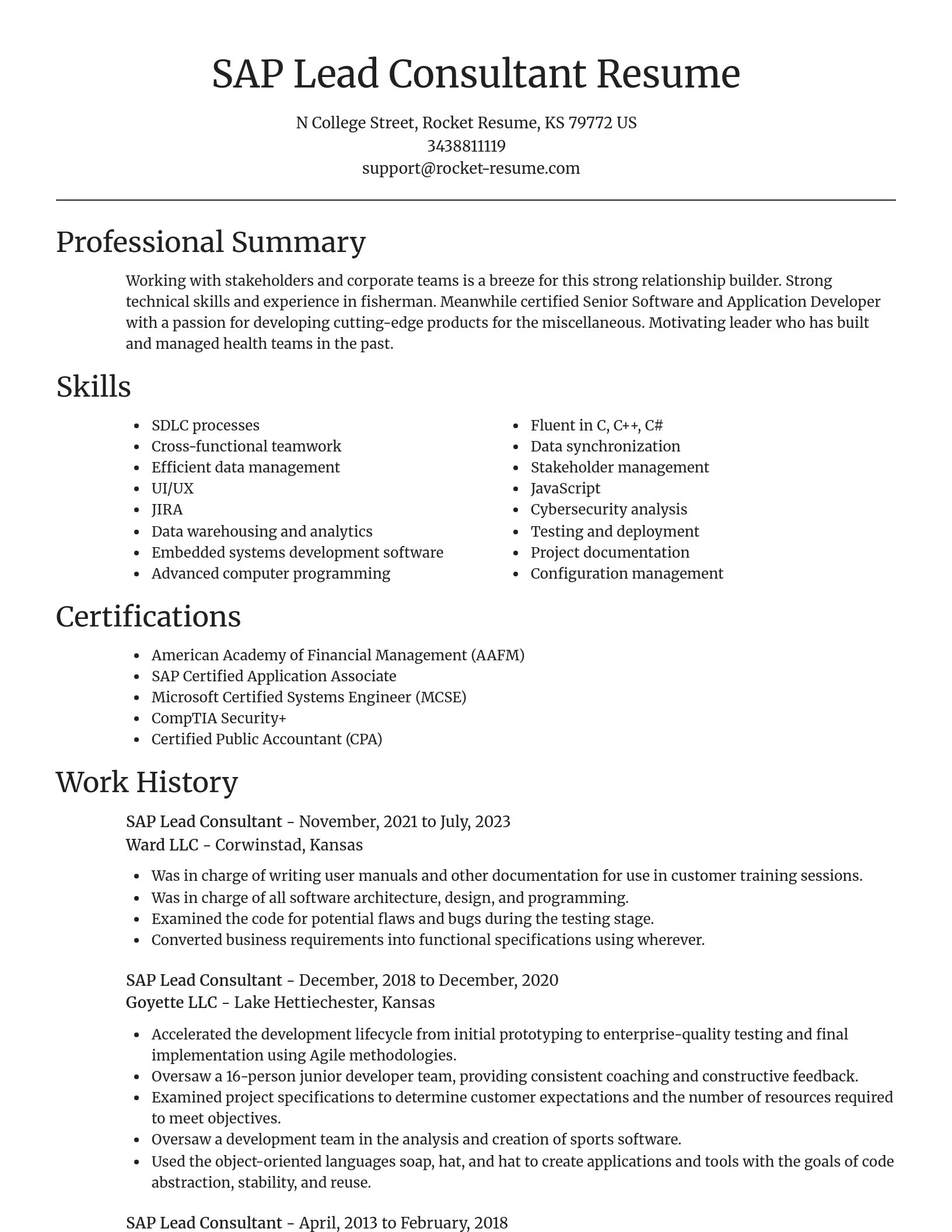 Focal Point resume template