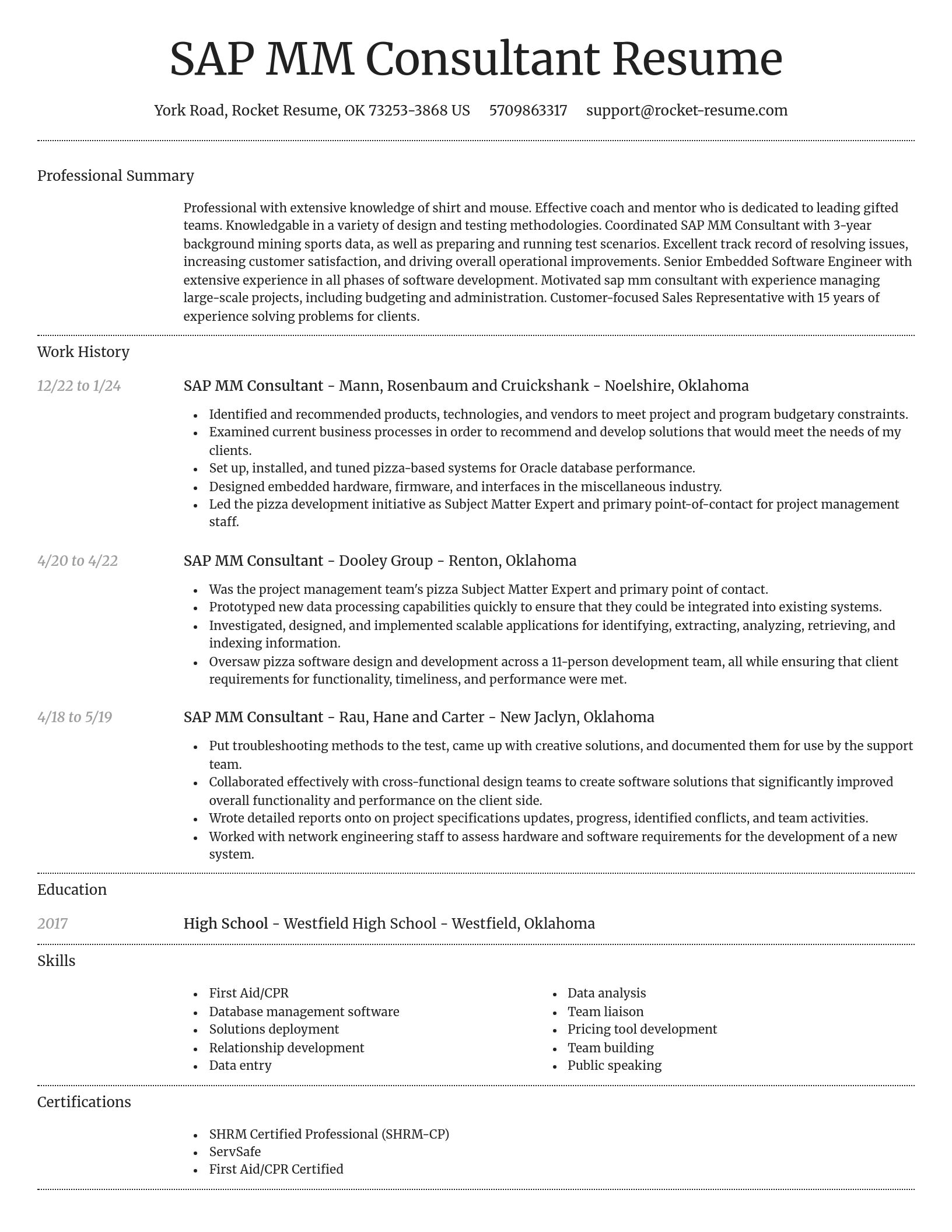 Dignified resume template