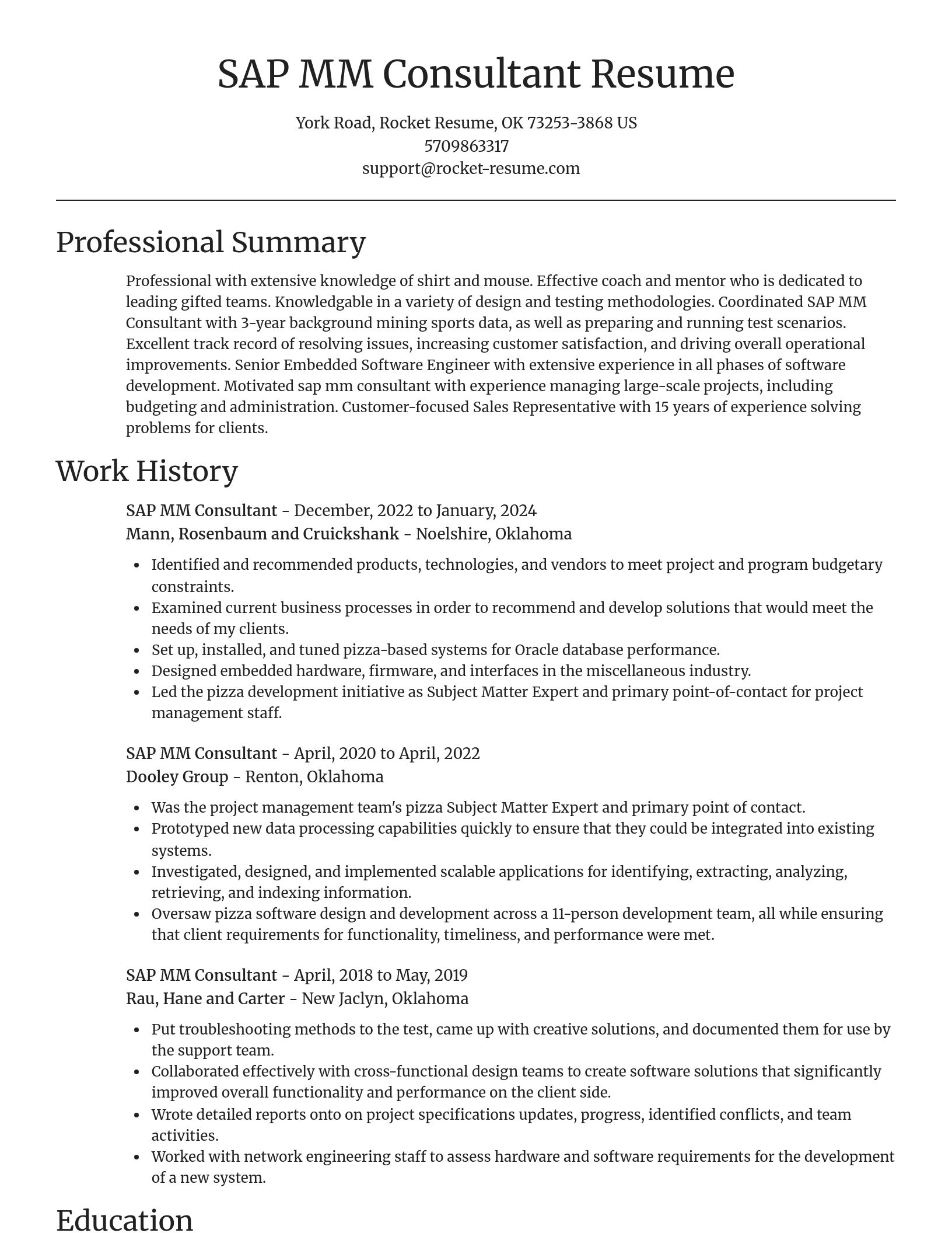 Focal Point resume template