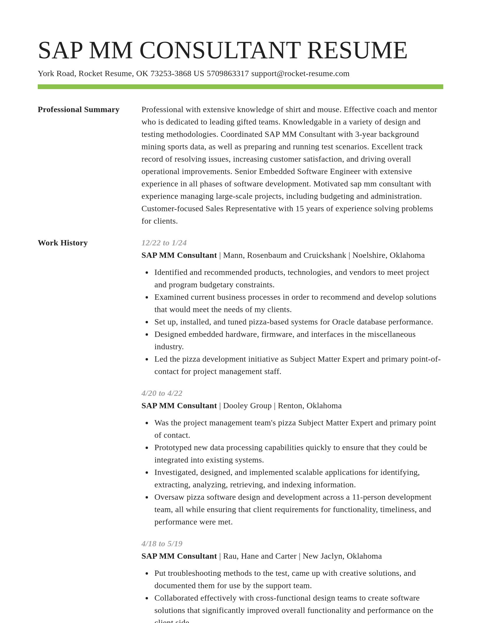 Smart resume template