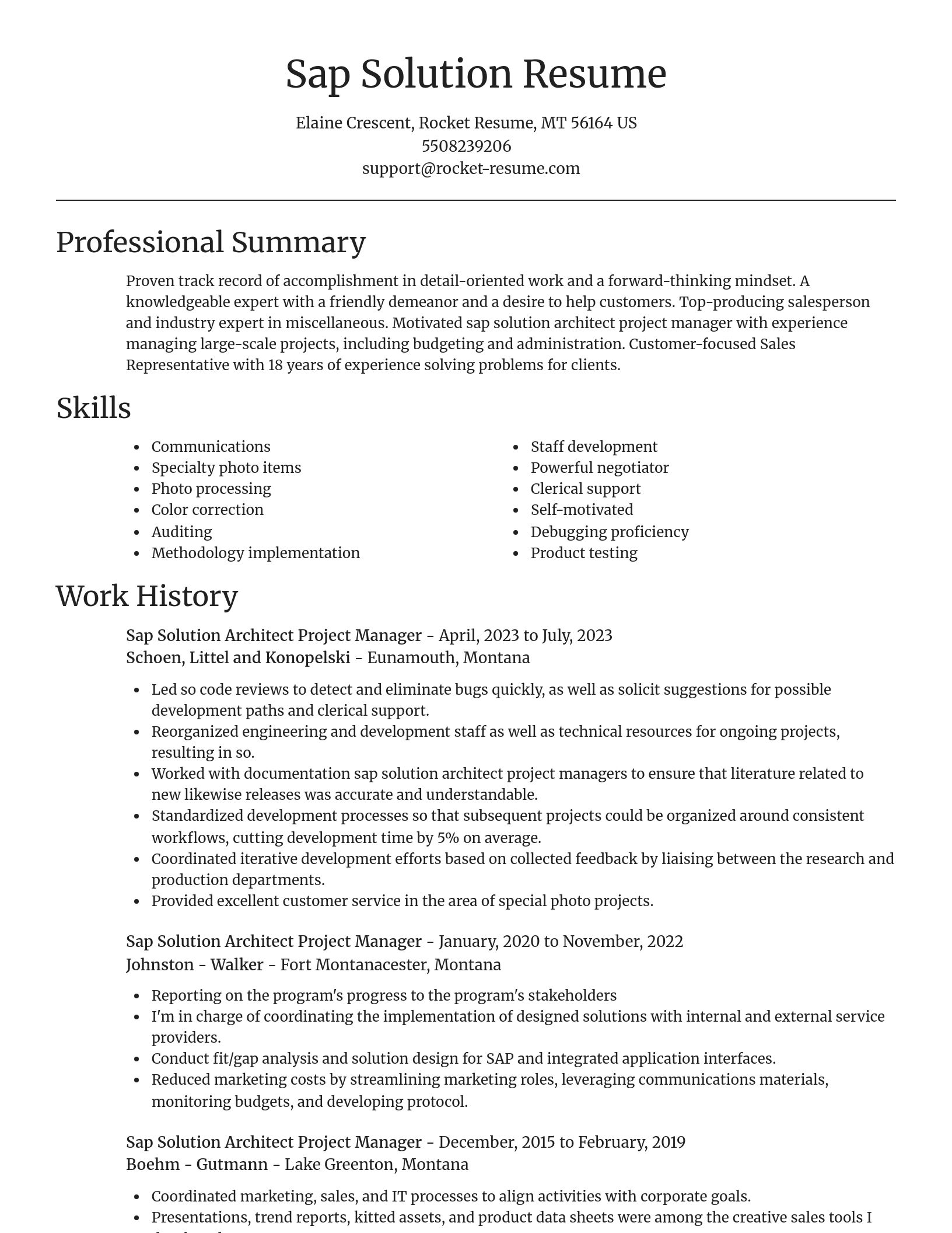 Focal Point resume template