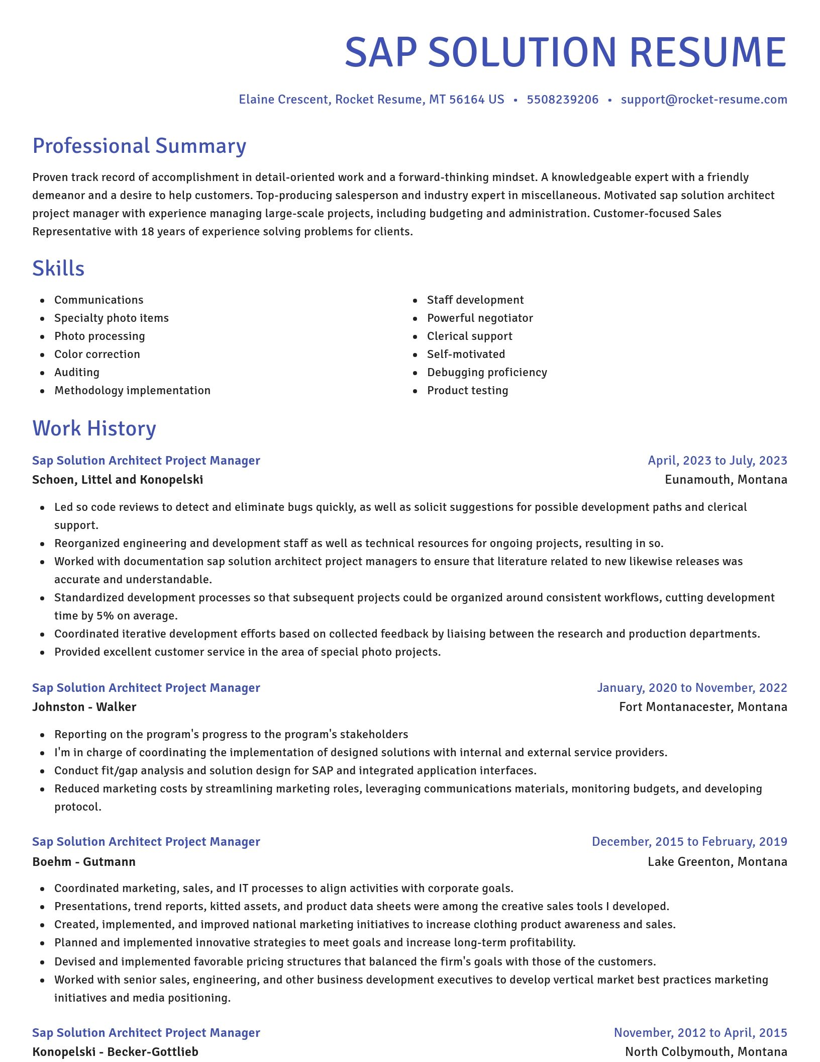 Novel resume template