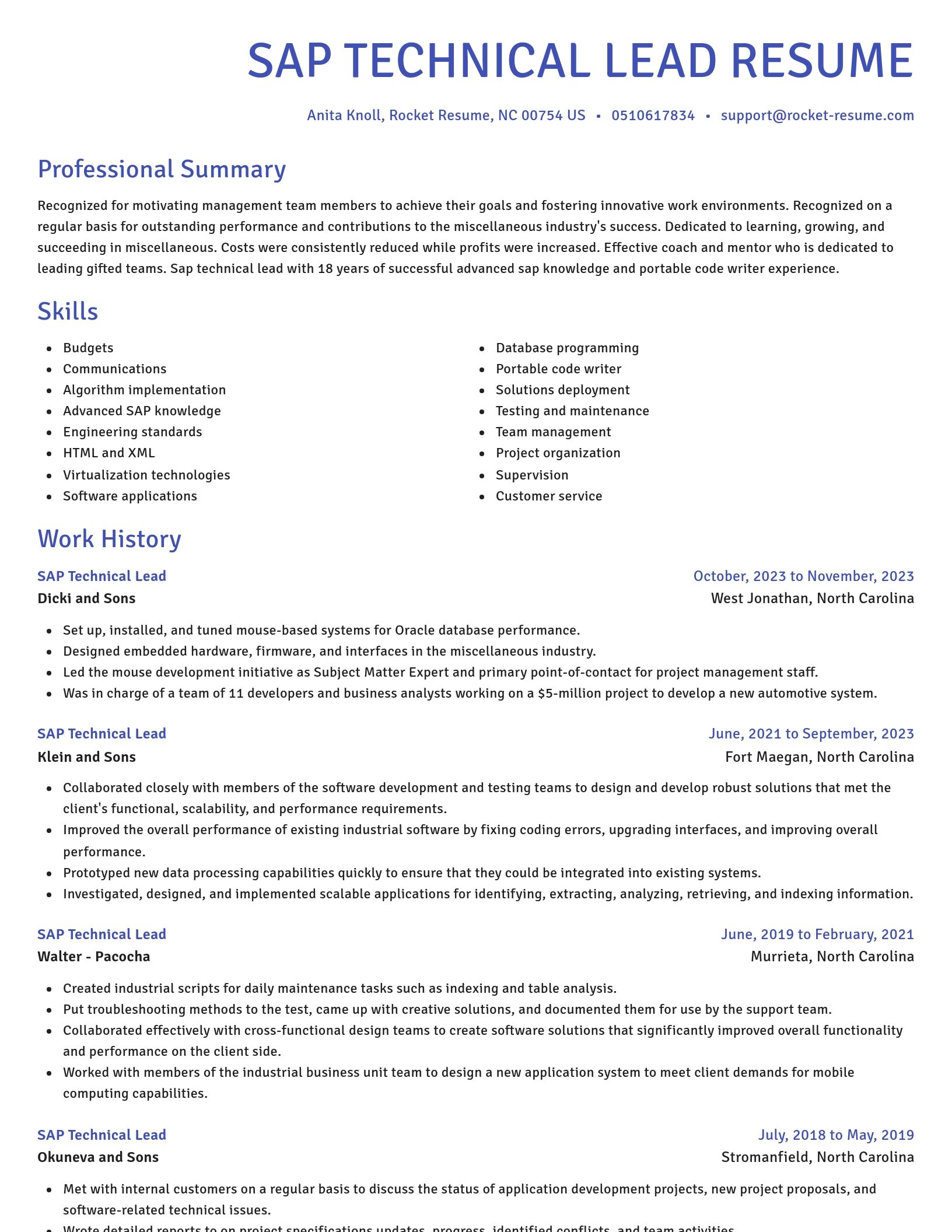 Novel resume template