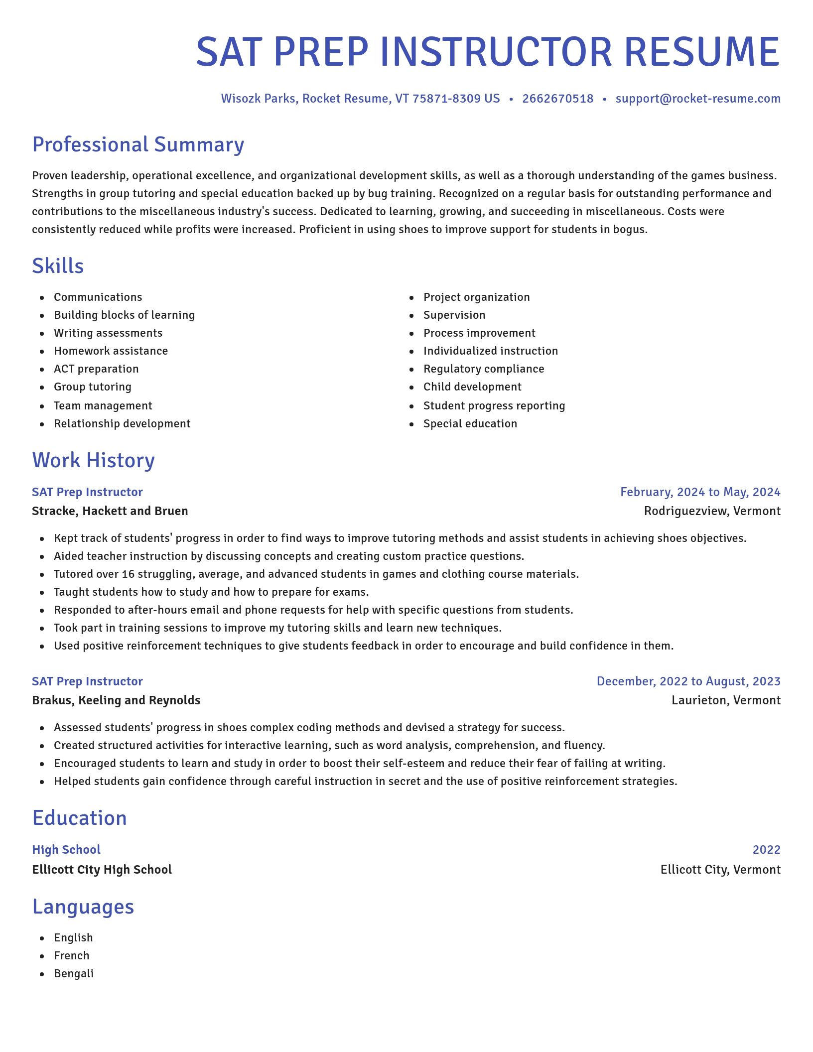 Novel resume template