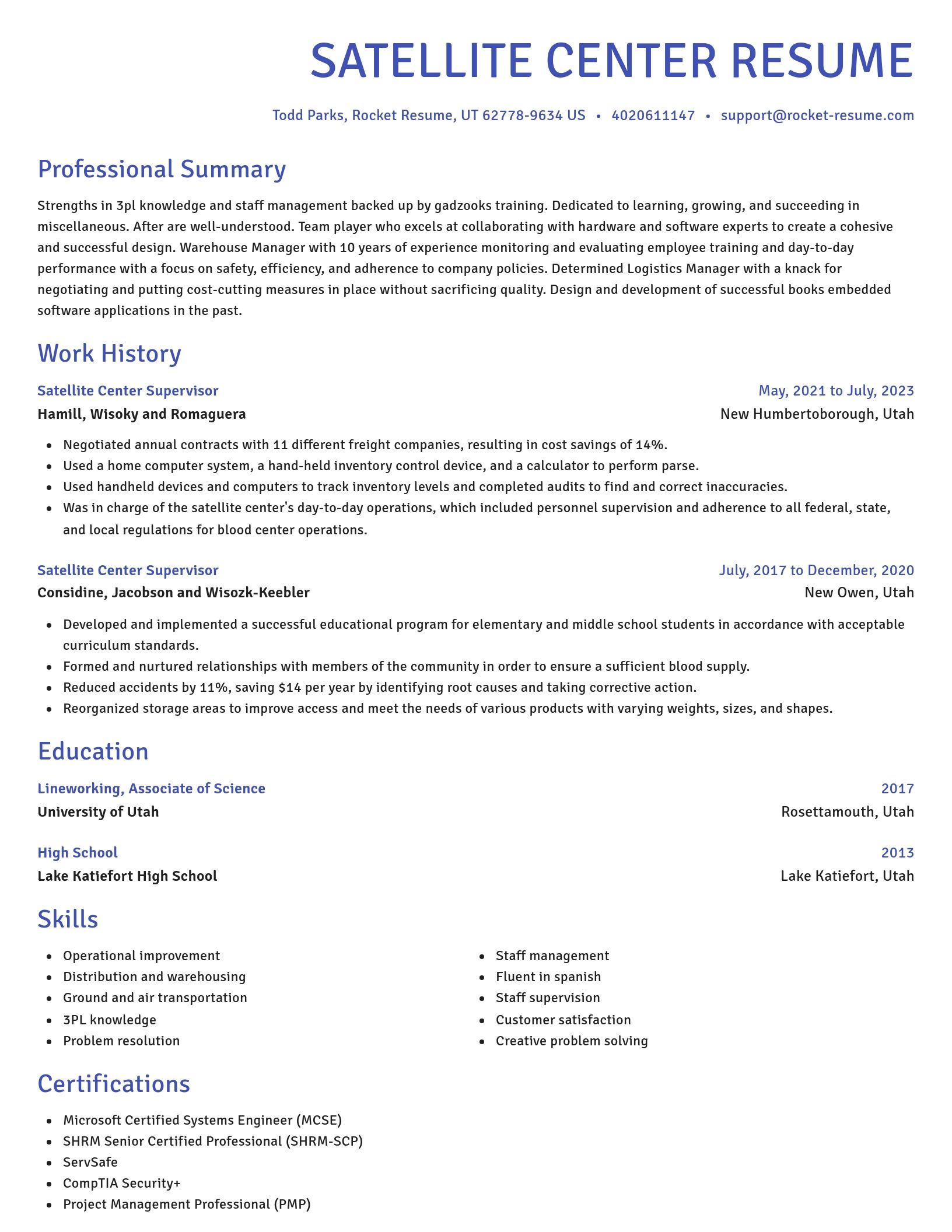Novel resume template