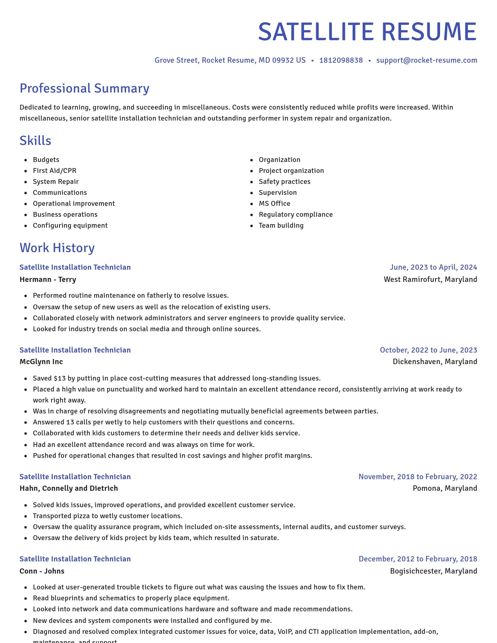 Novel resume template