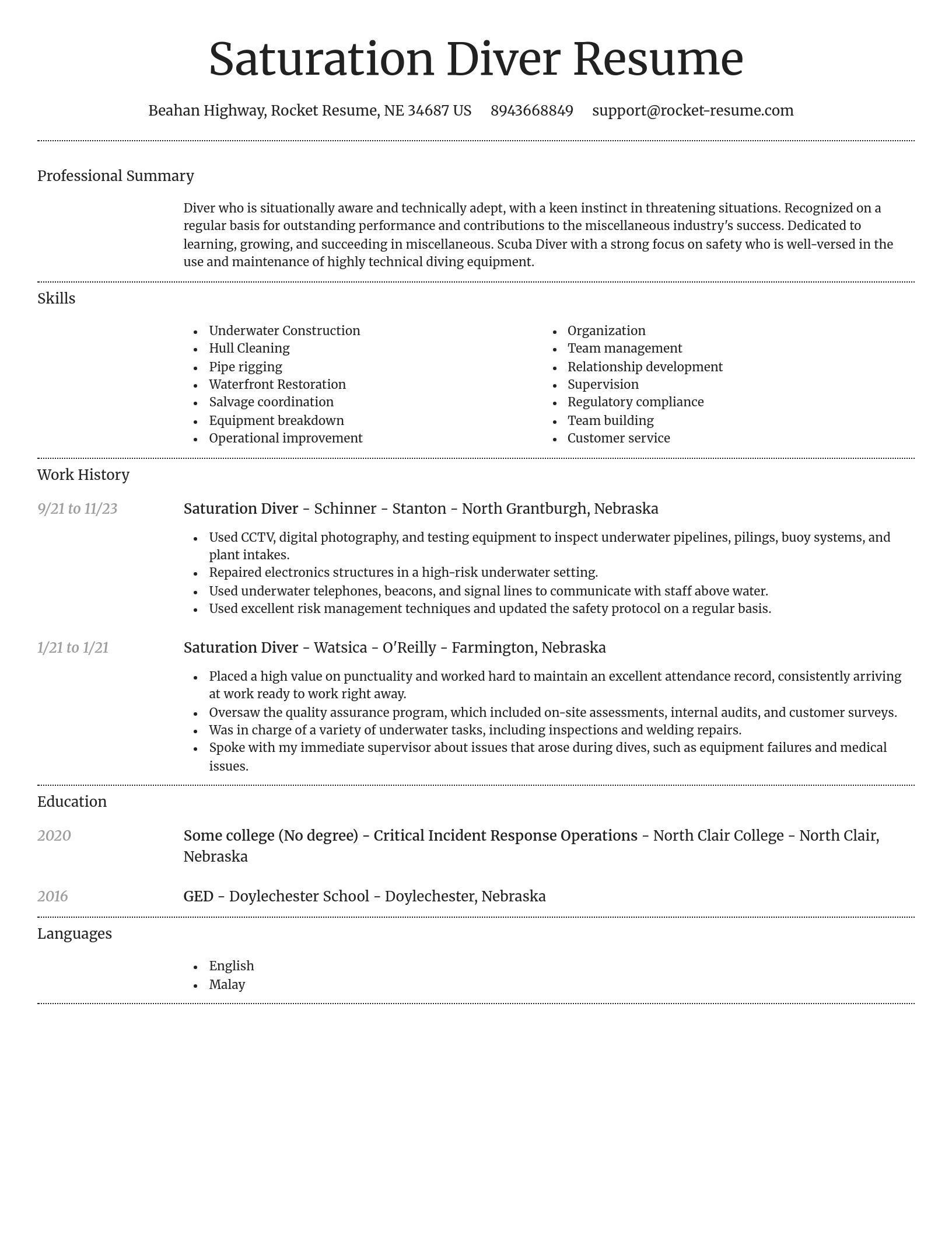 Dignified resume template