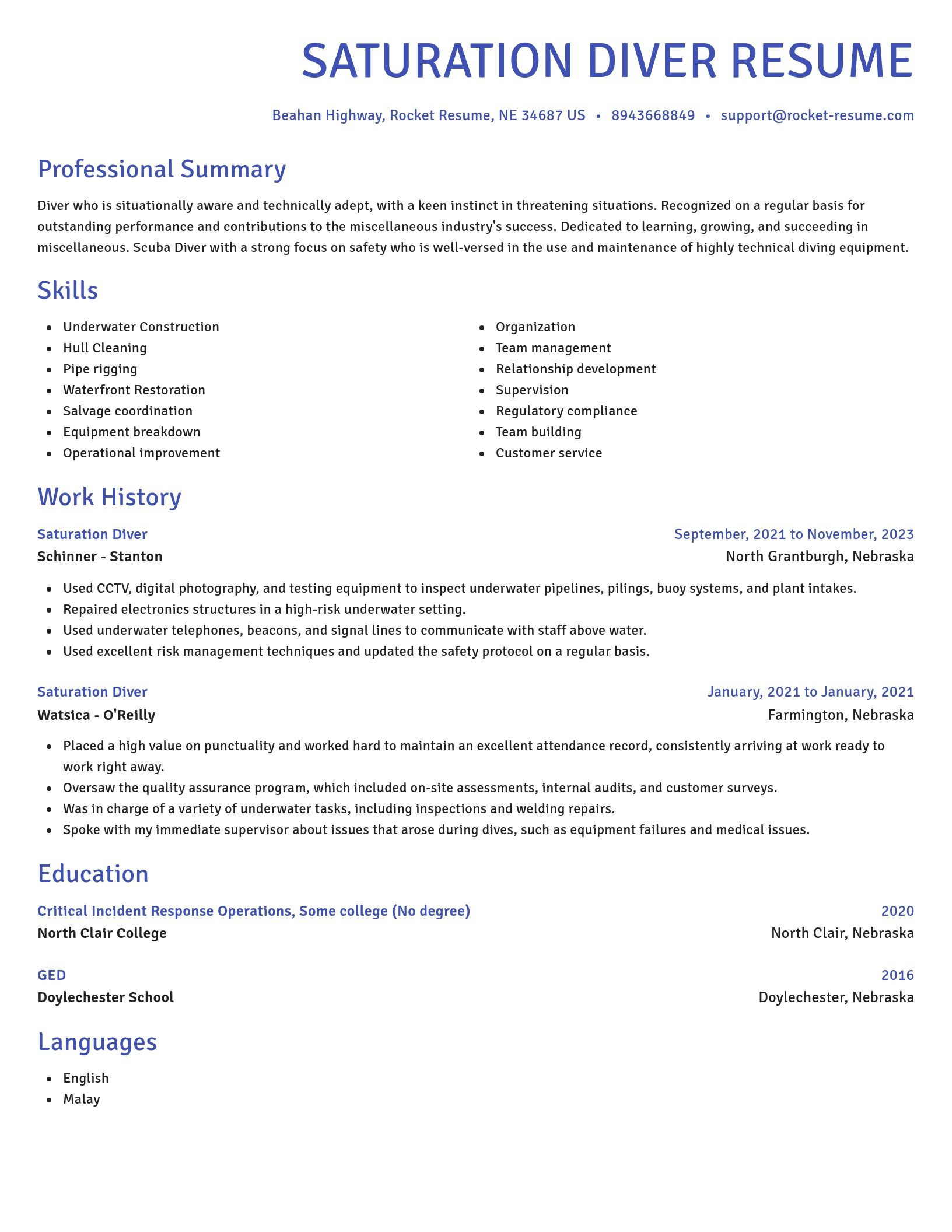 Novel resume template