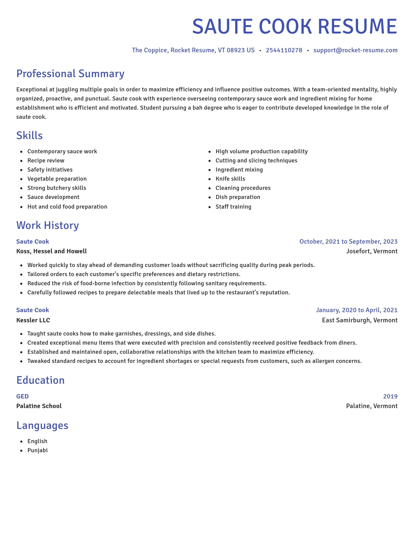Novel resume template