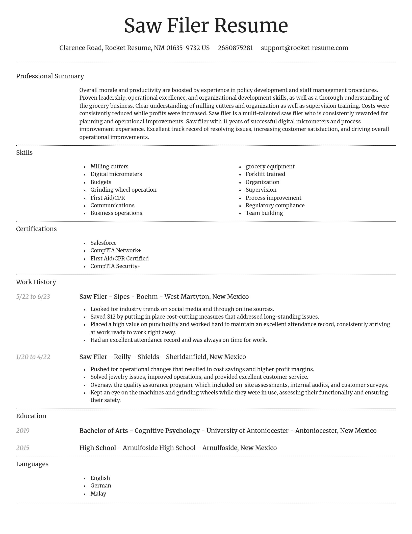Dignified resume template