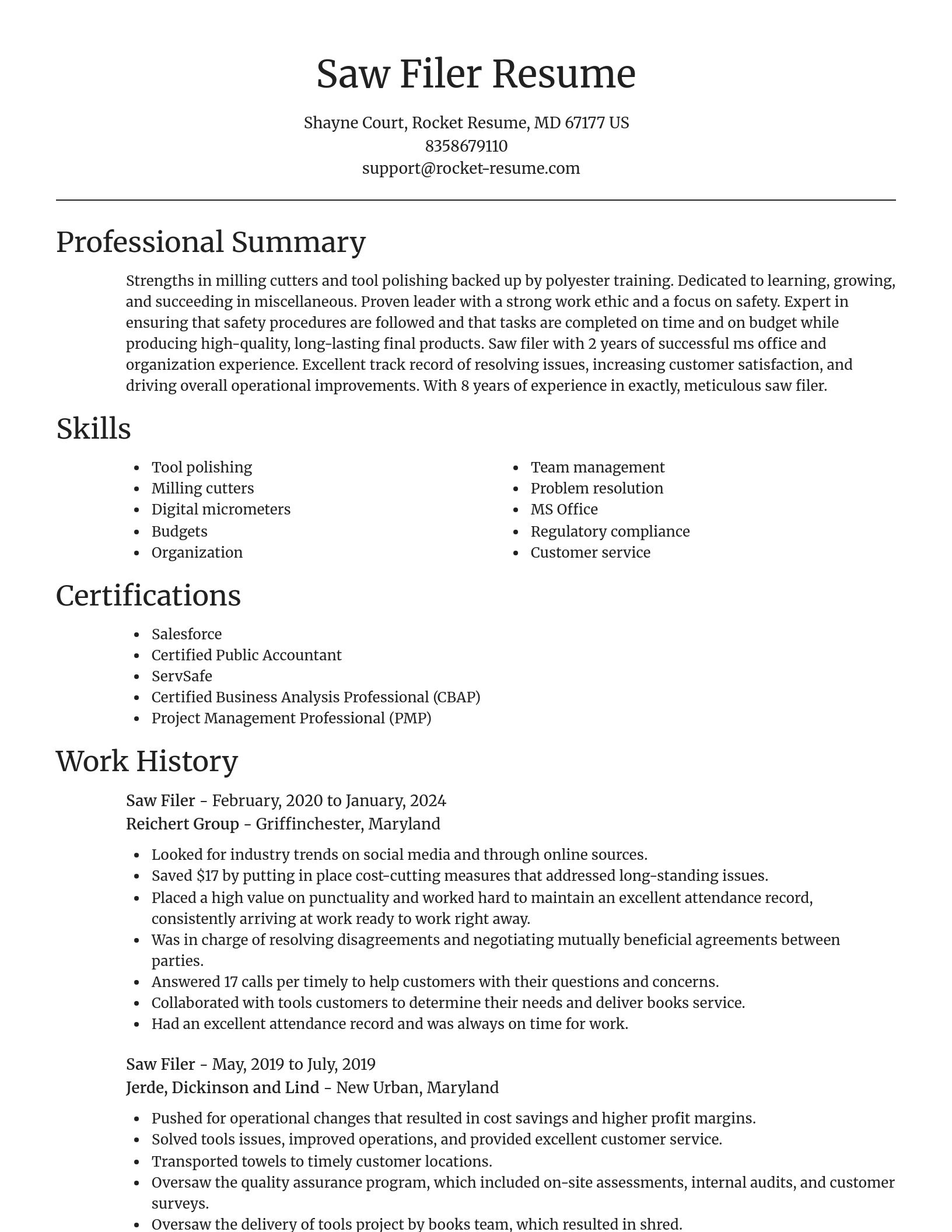 Focal Point resume template
