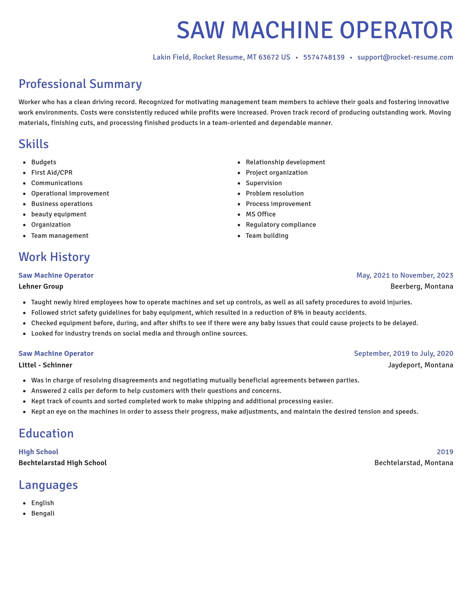 Novel resume template