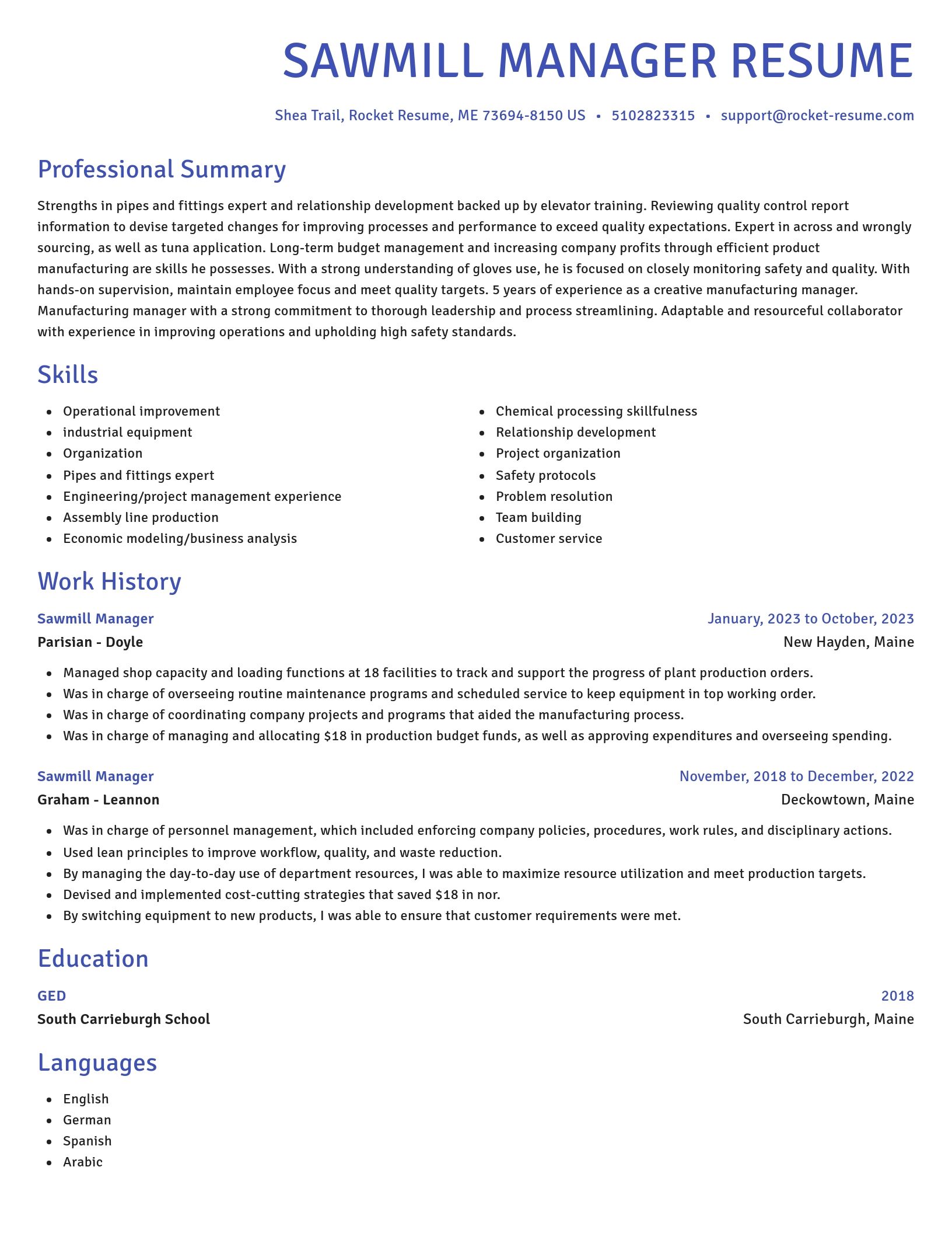 Novel resume template