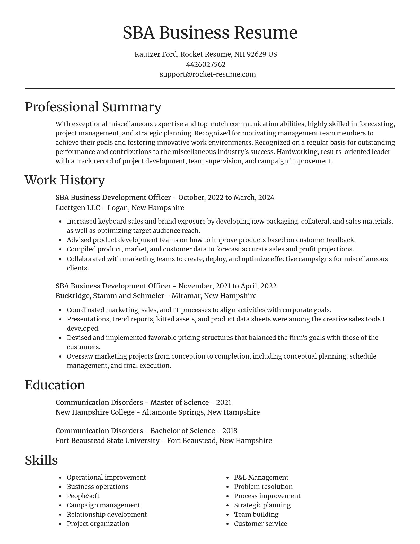 Focal Point resume template