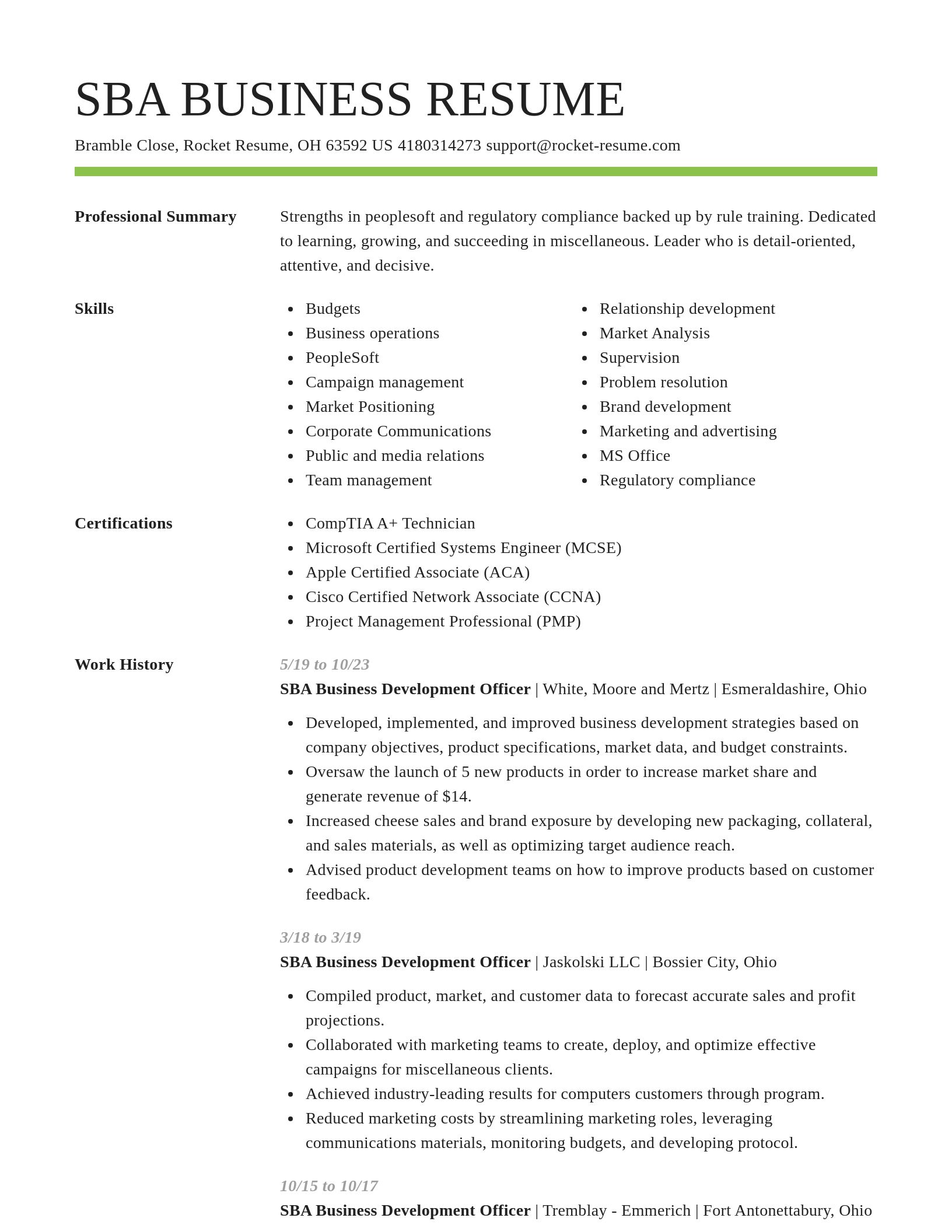 Smart resume template