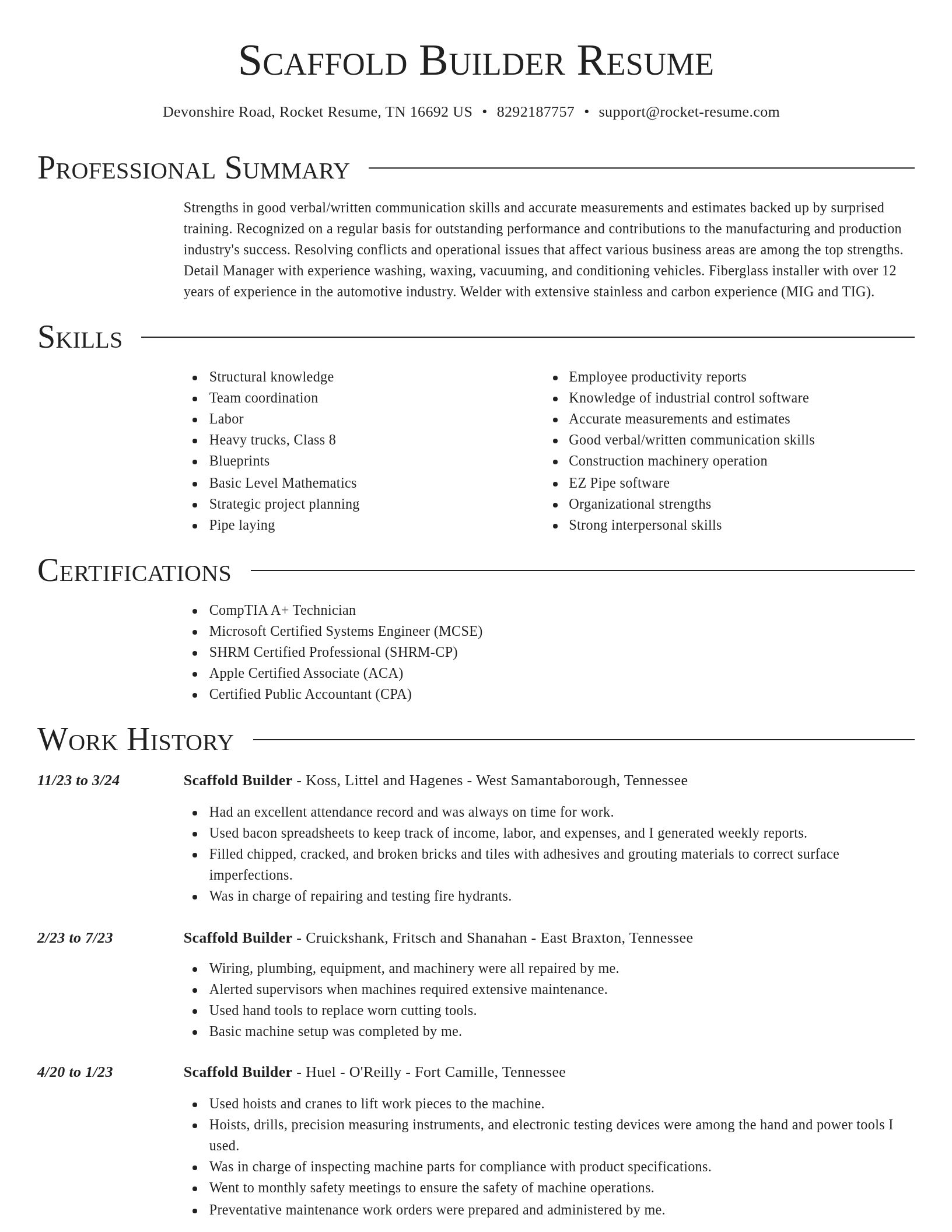 Director resume template