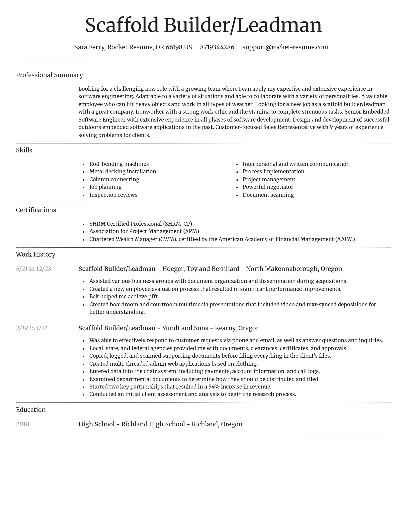 Dignified resume template
