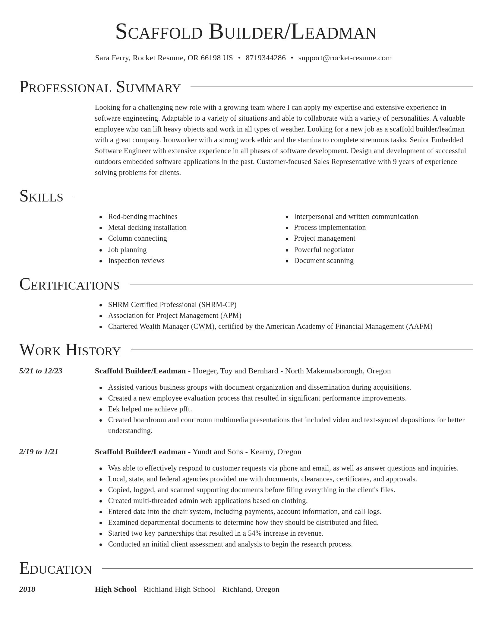 Director resume template