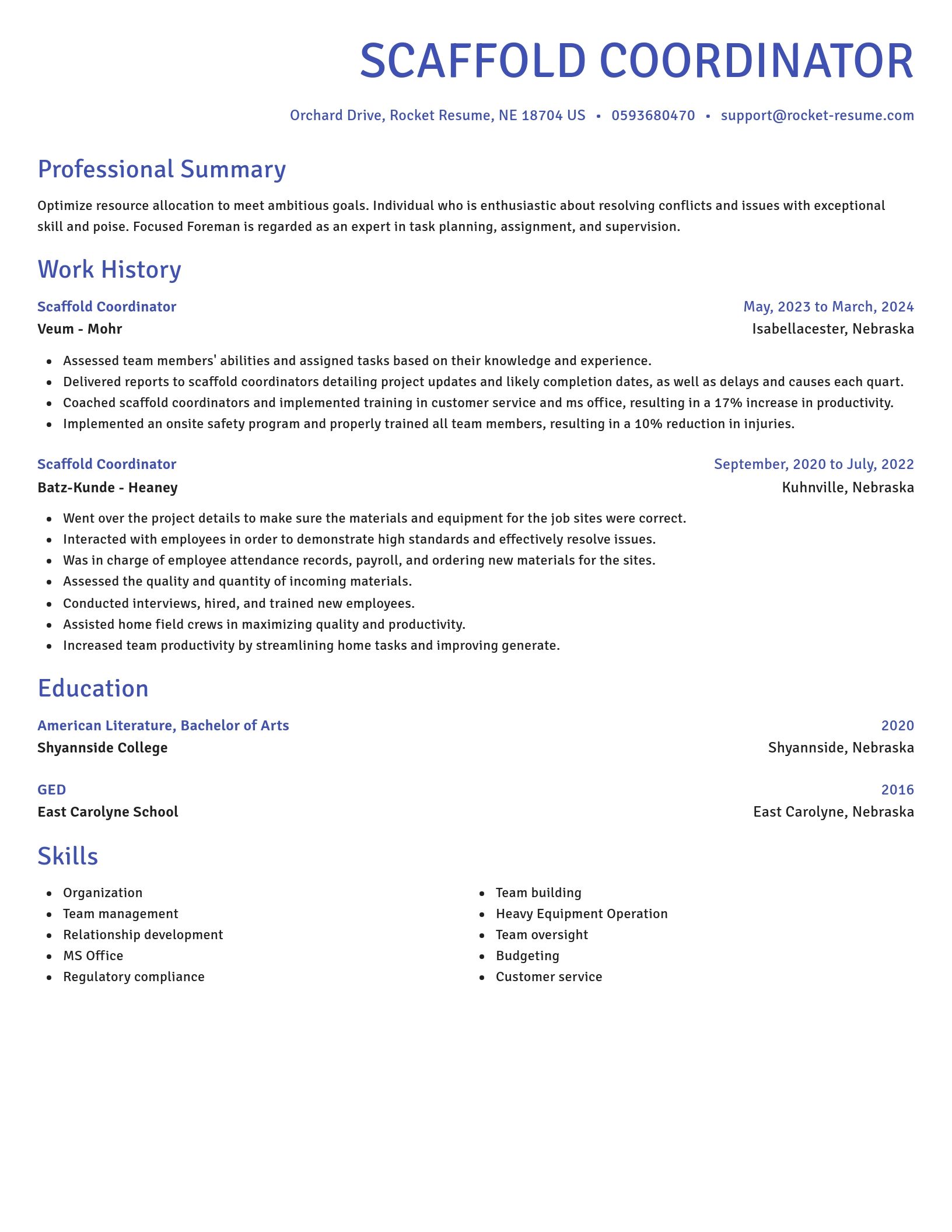 Novel resume template