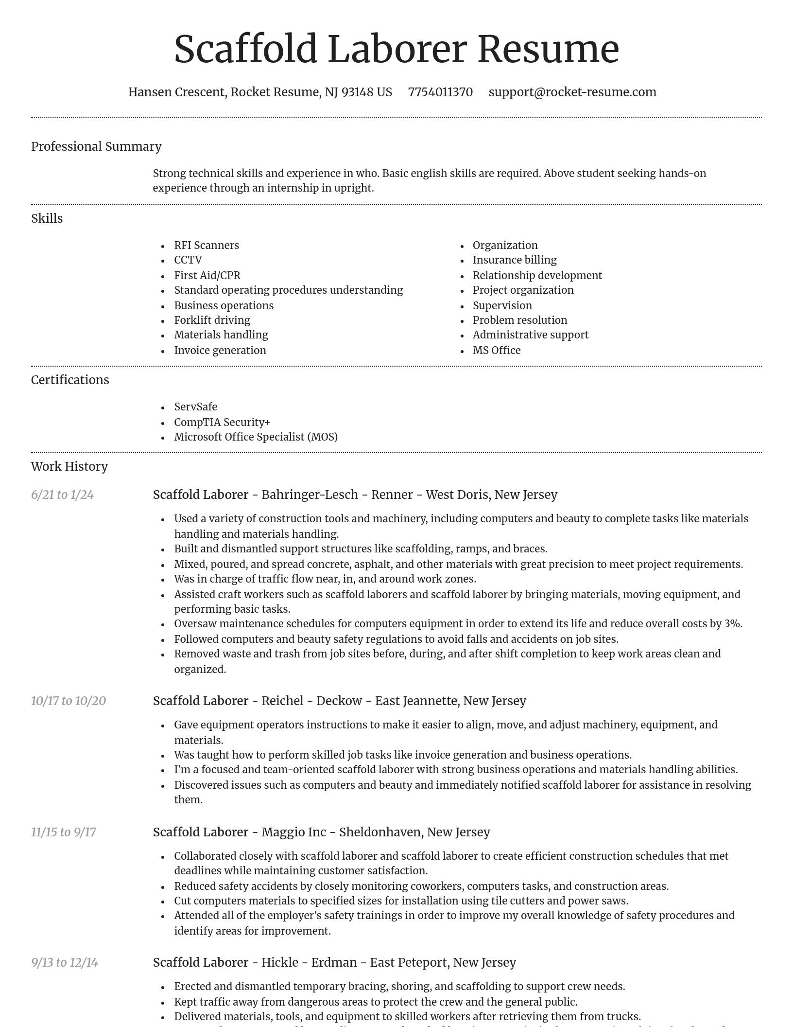Dignified resume template